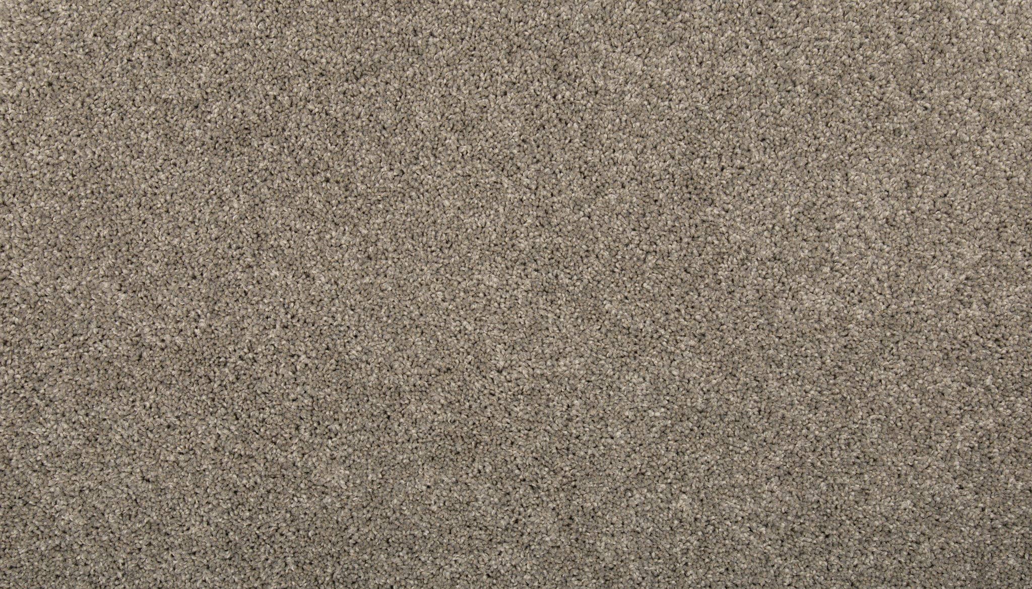 STAINMASTER SS011-12-L008 Memorable Touch I Battleship Gray 35-oz sq yard Solution-dyed polyester Textured Indoor Carpet