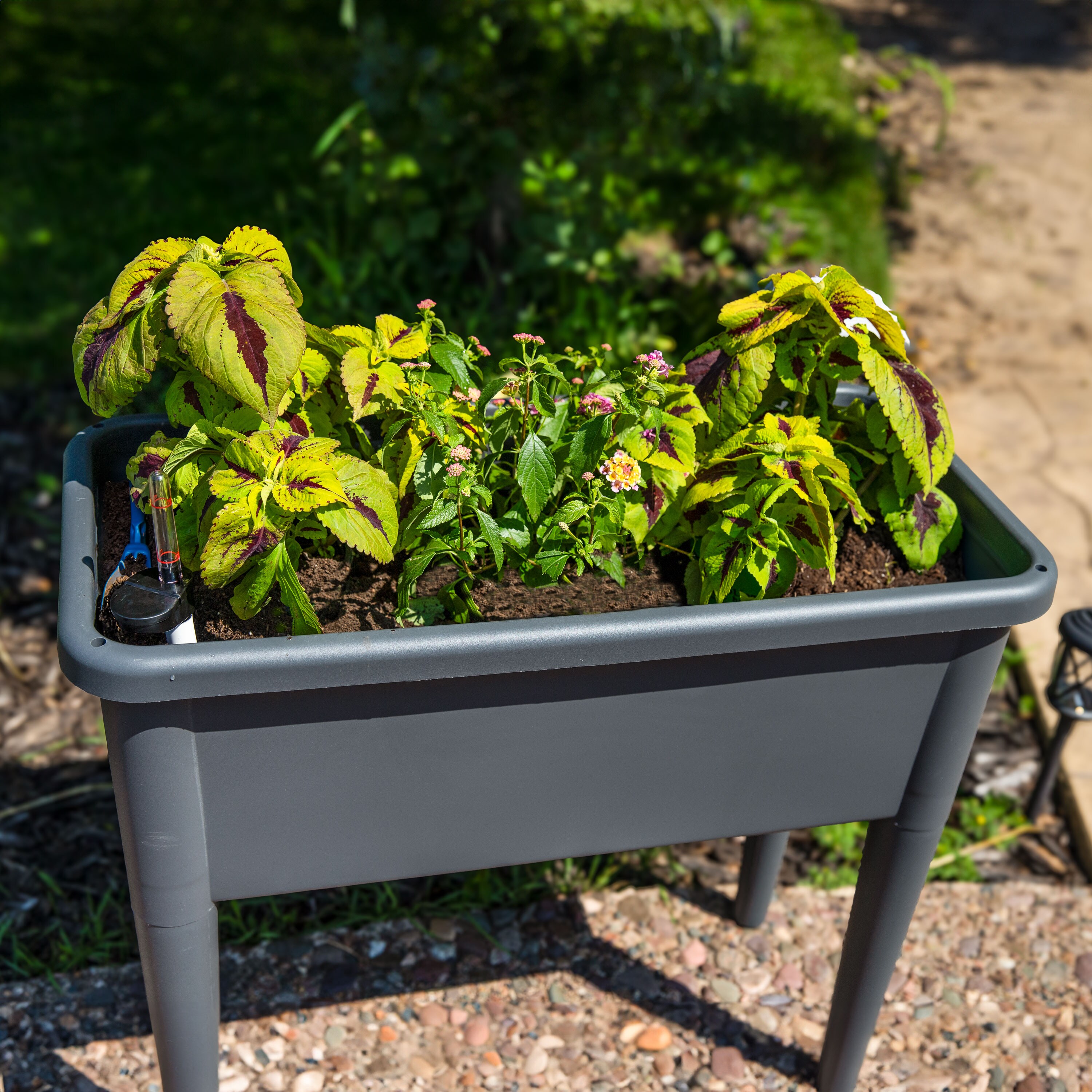 Sunnydaze Decor IEO-6819 Raised-Garden-Beds - View #13