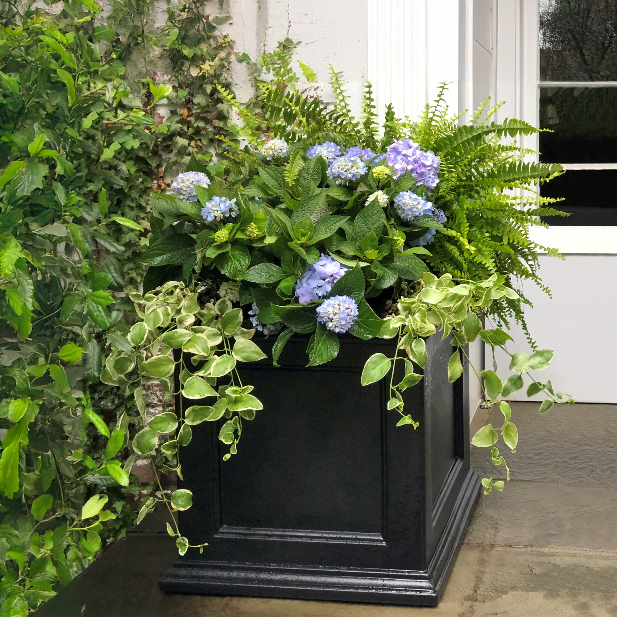 Mayne 5825-B Planter-Window-Box - View #13