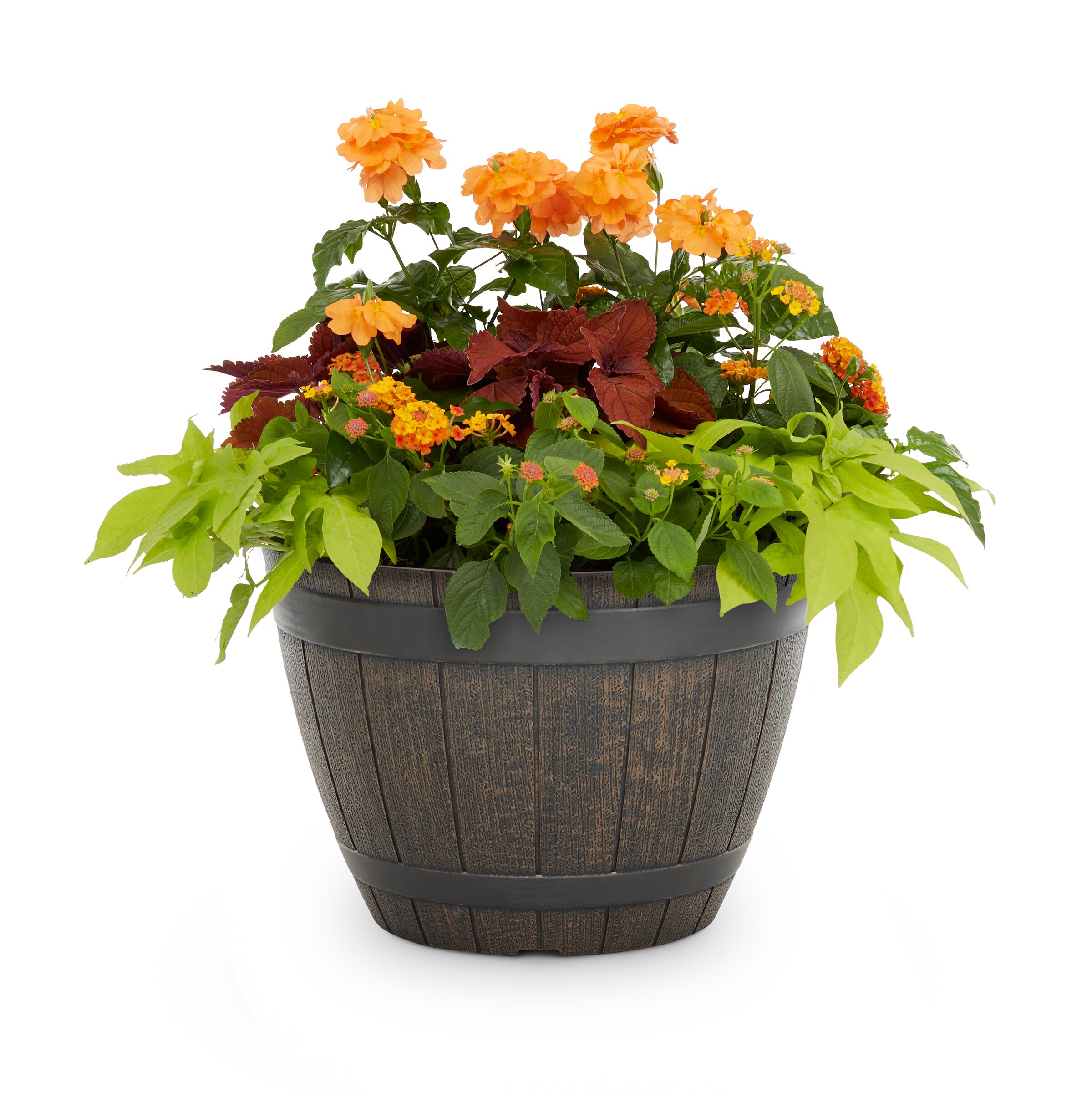 Lowe's NURSERY Multicolor Mixed Annuals Combinations in 2.5 Gallon(s) Planter 1 -Pack