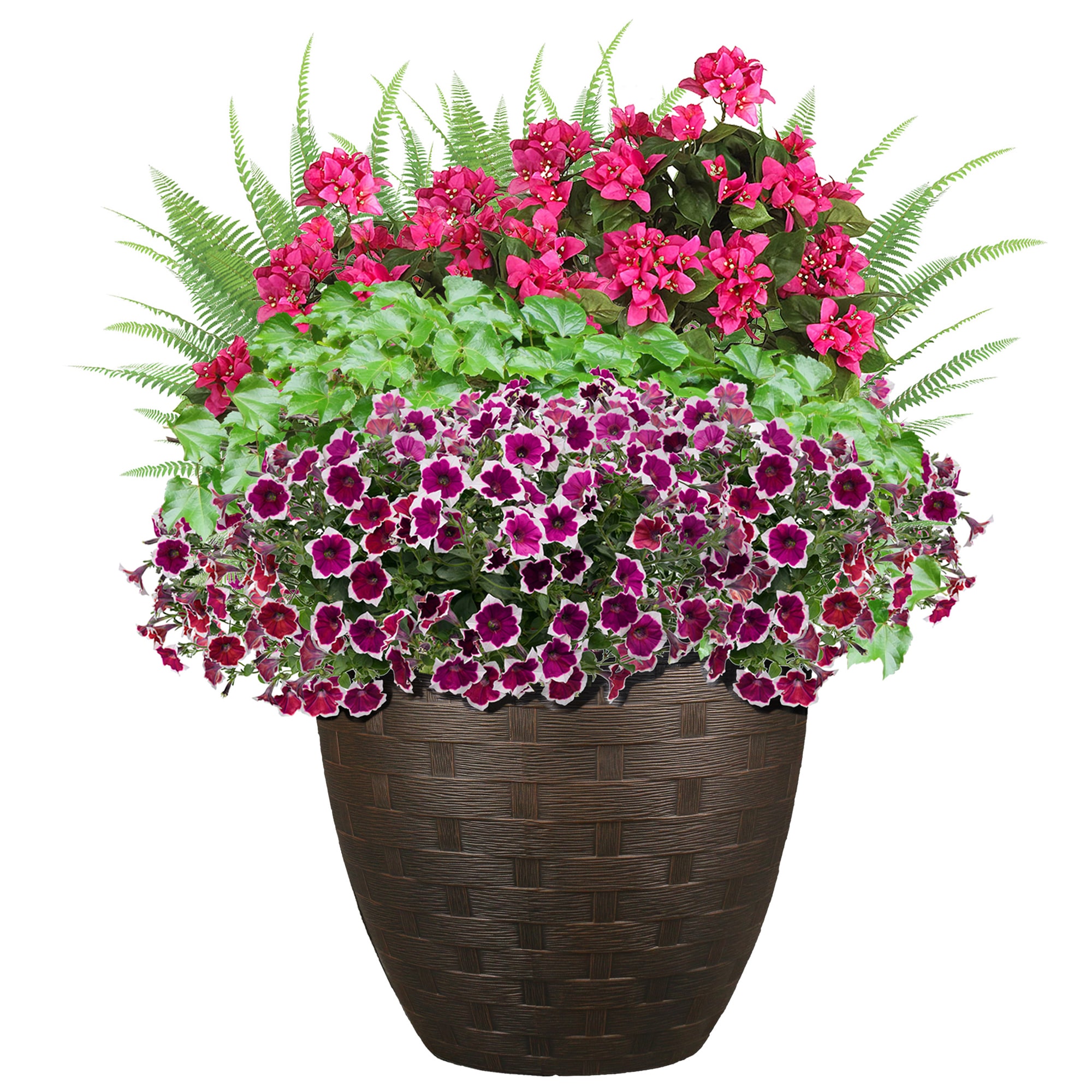 Bigstone 3Pcs Flower Pot Holder Rings High Durability Rust-proof