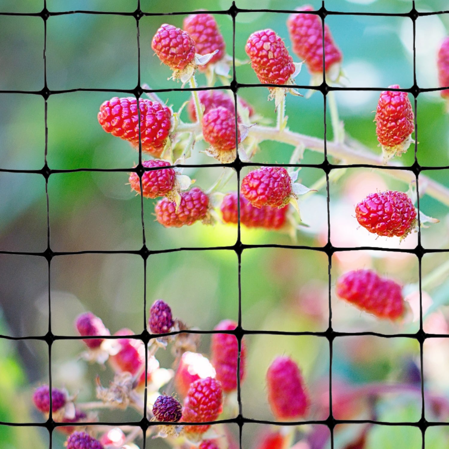 Bird-X NET-STD-100-14  - View #4