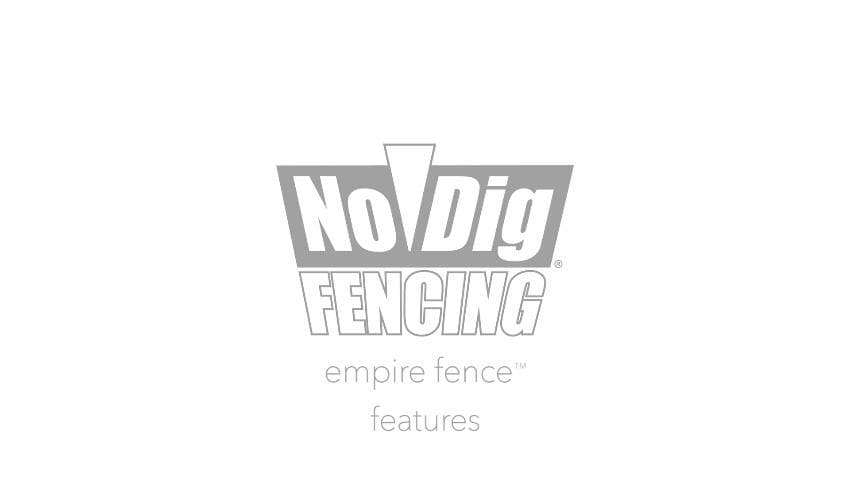 A thumbnail for the video