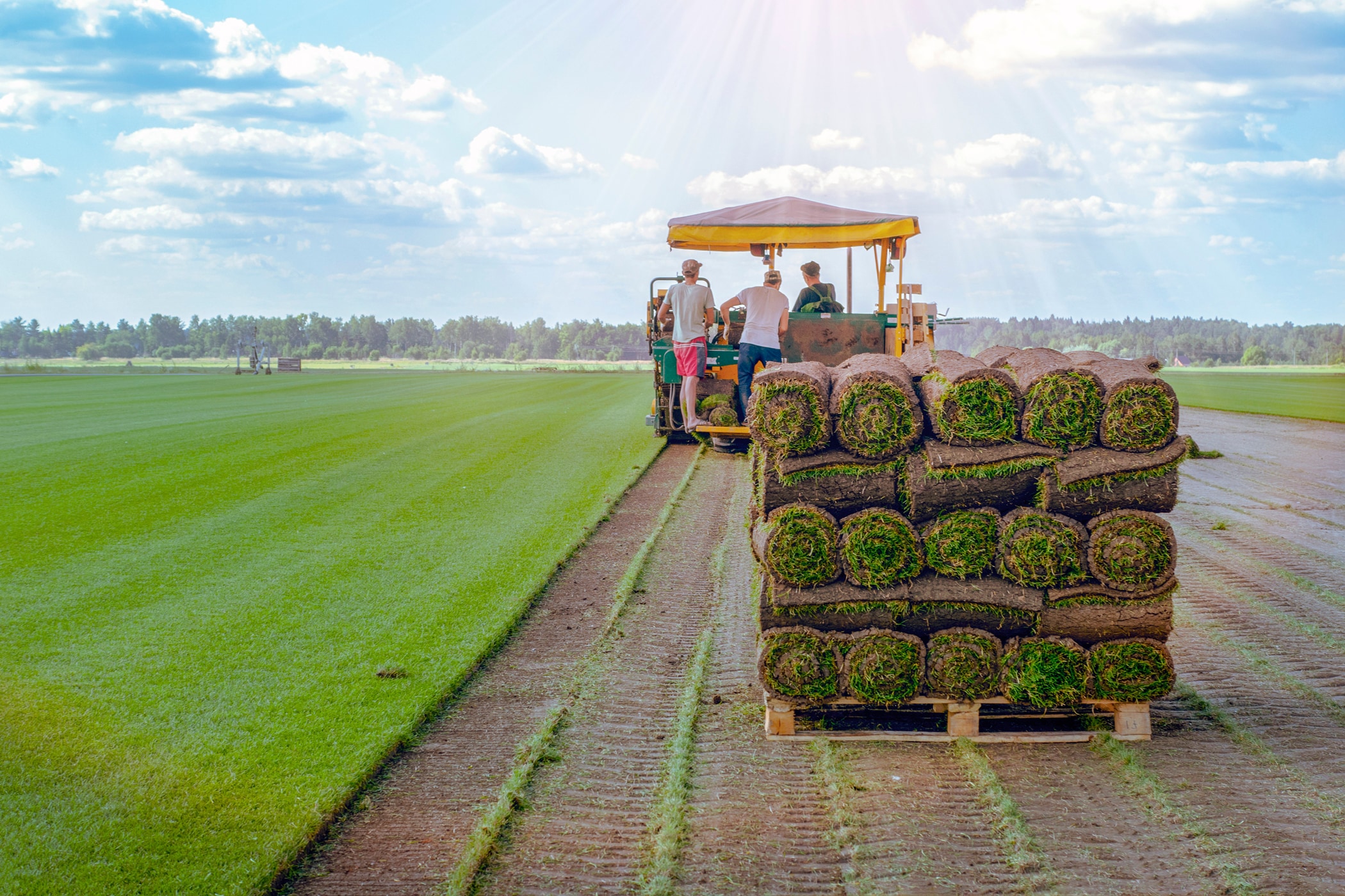 Harmony Outdoor Brands FESC500DCOM sod - View #5