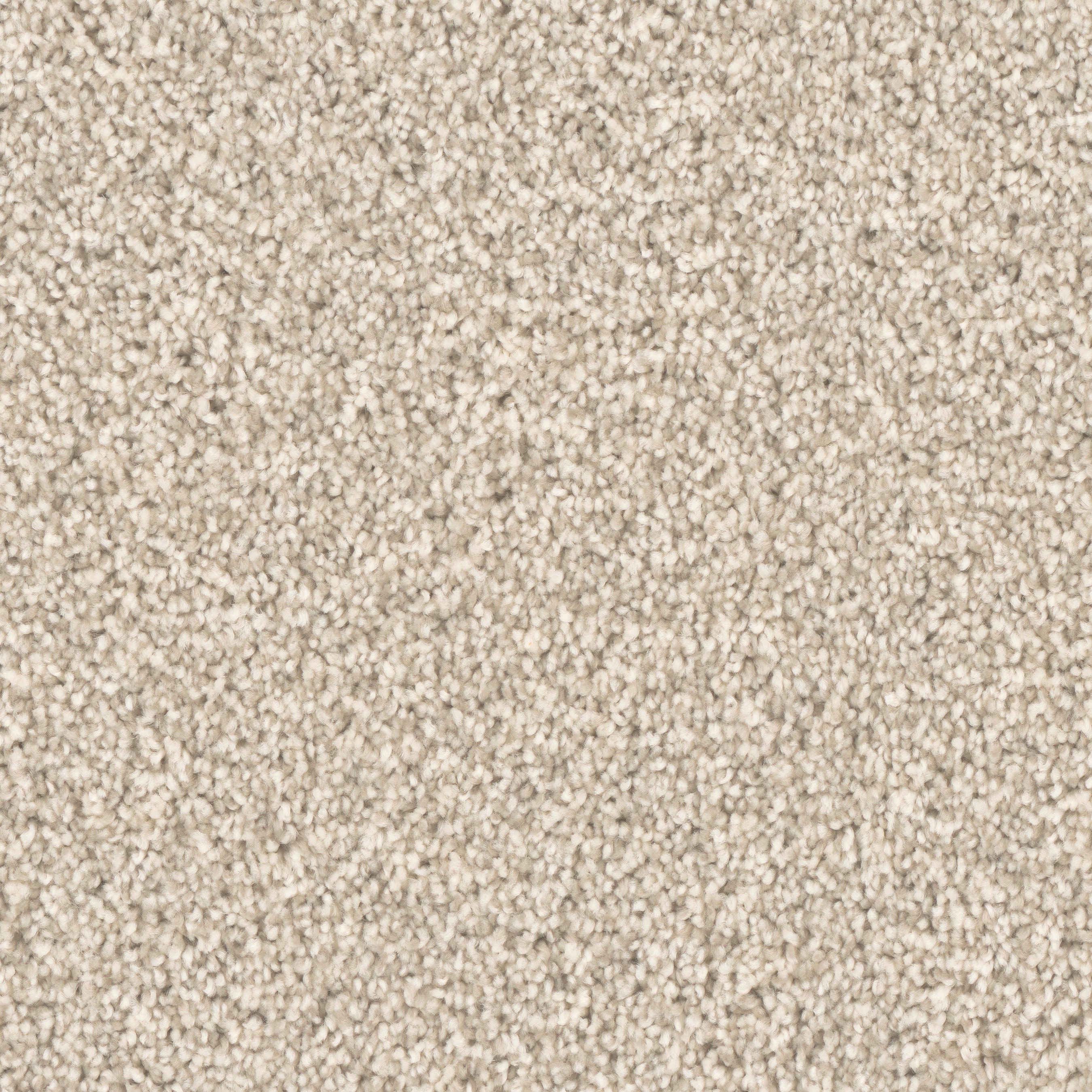 STAINMASTER S9135-122-1200-MO Merge Alter Brown 35-oz sq yard Polyester Textured Indoor Carpet