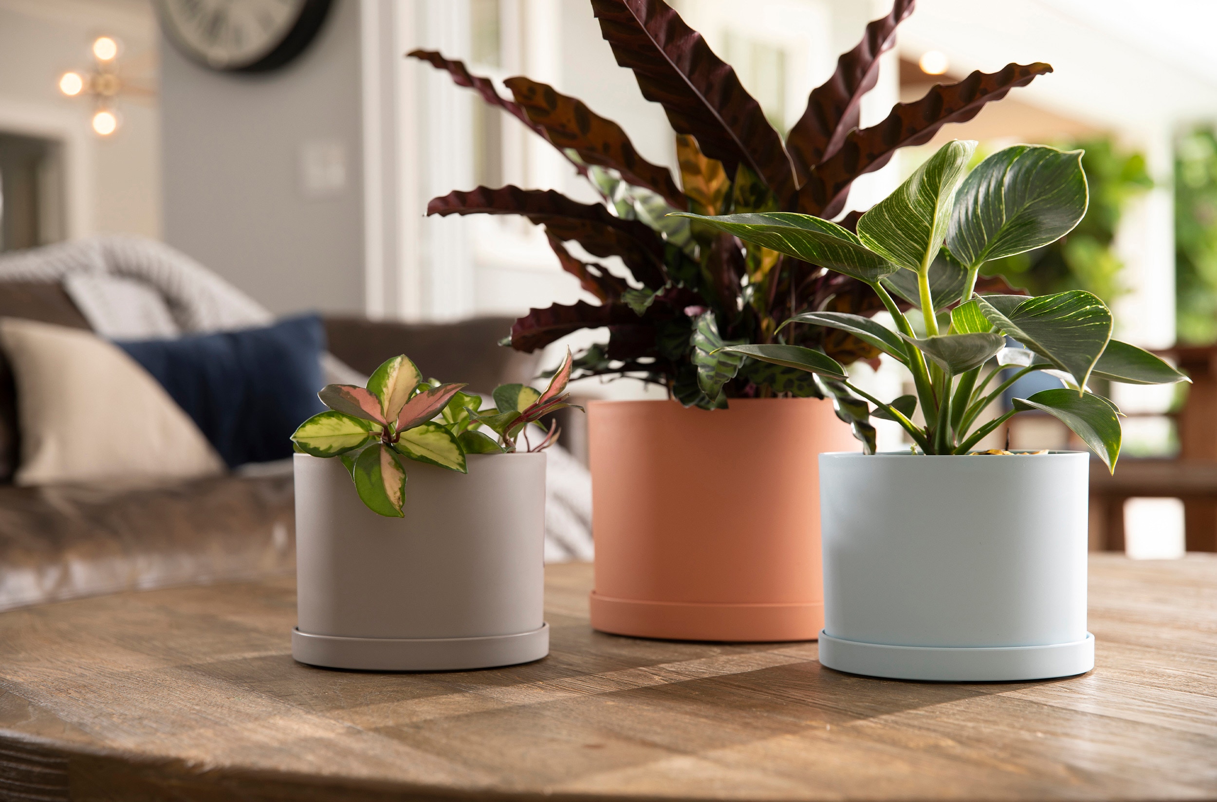 allen + roth MAT0637-L Planter-Window-Box - View #5