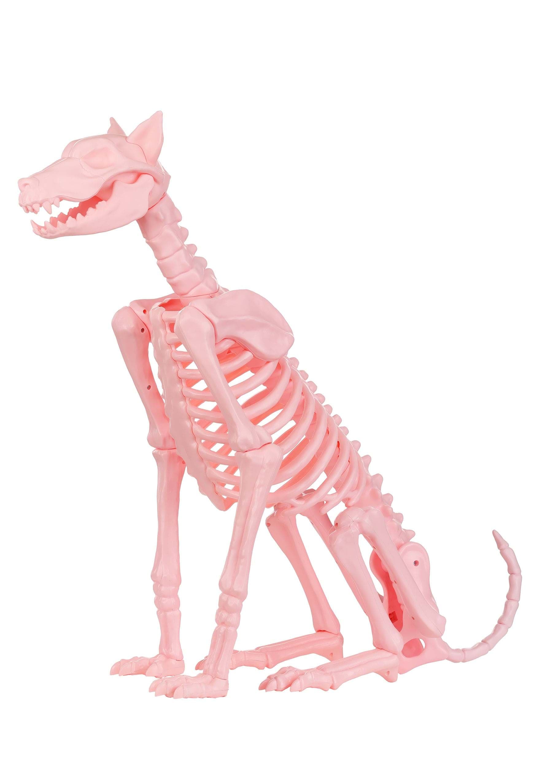 HalloweenCostumes.com FUN96481-ST FUN Costumes 3.8FT Roxy the Pink Skeleton Dog Prop Decoration Skeleton Decorations Standard