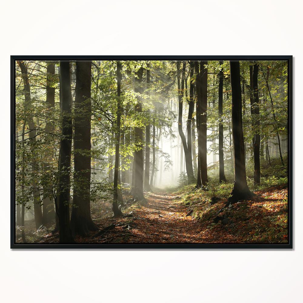 Designart Big Trees in Dark Foggy Forest - Landscape Photography