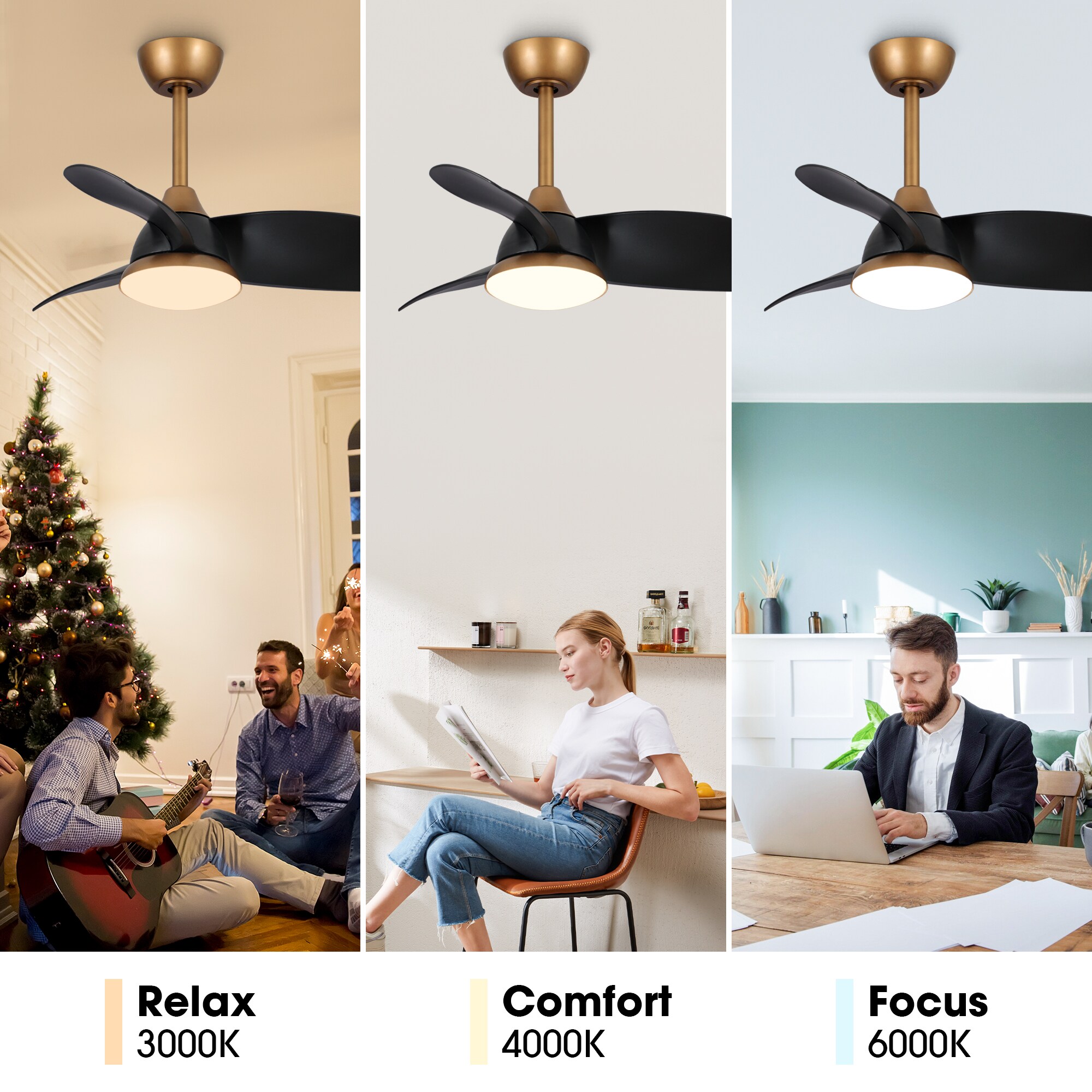 Parrot Uncle F6335110V Ceiling-Fans - View #7