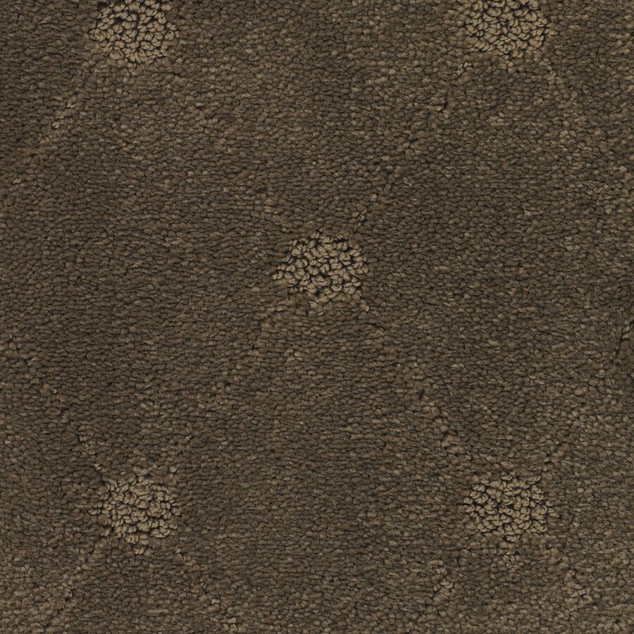 STAINMASTER 2412-110 Columbia Valley Neptune Pattern Indoor Carpet