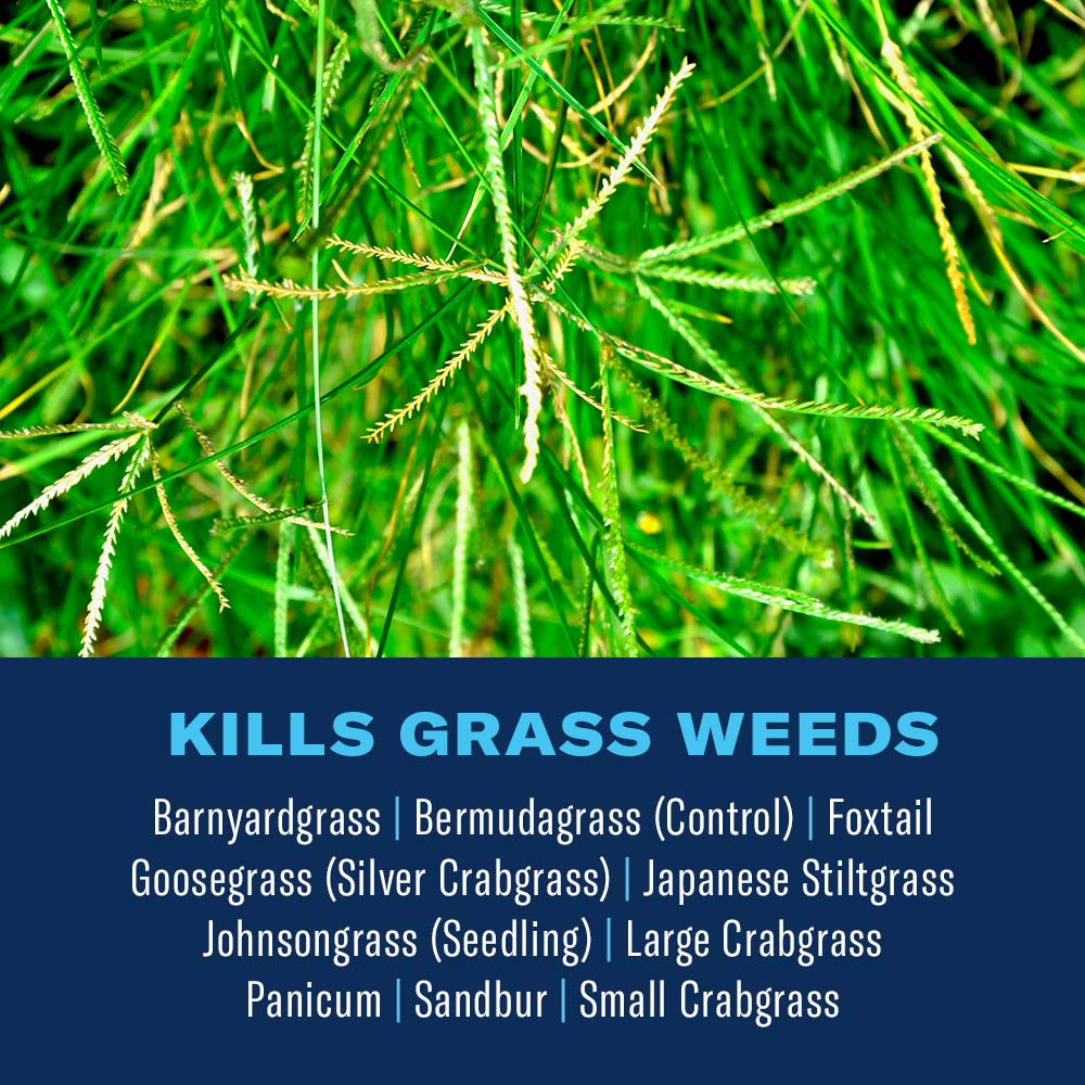 BioAdvanced 704100 Weed-Killers - View #2
