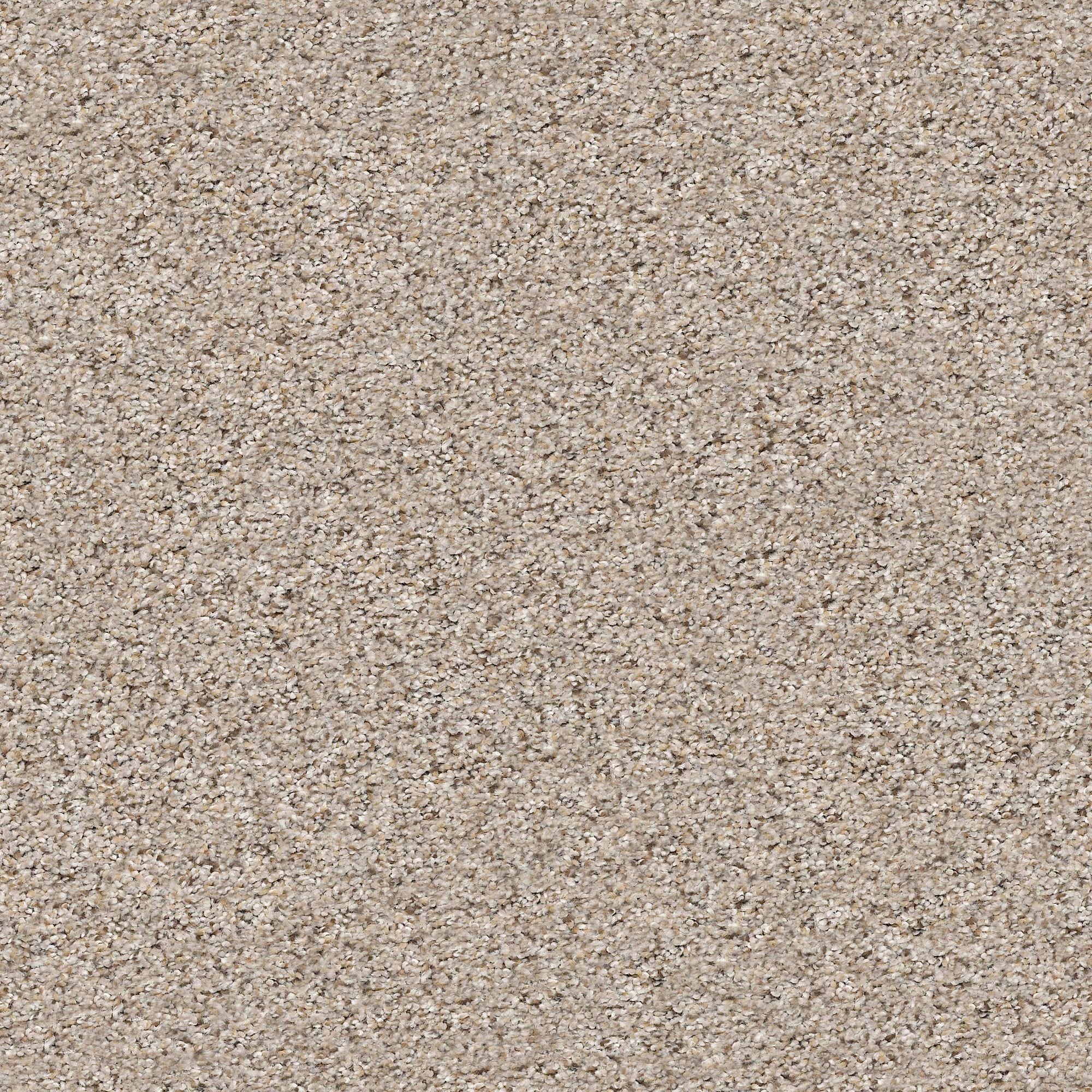 STAINMASTER PetProtect 7L91000570 Very Dapper II Pencil Sketch Gray 47.8-oz sq yard Nylon Textured Indoor Carpet
