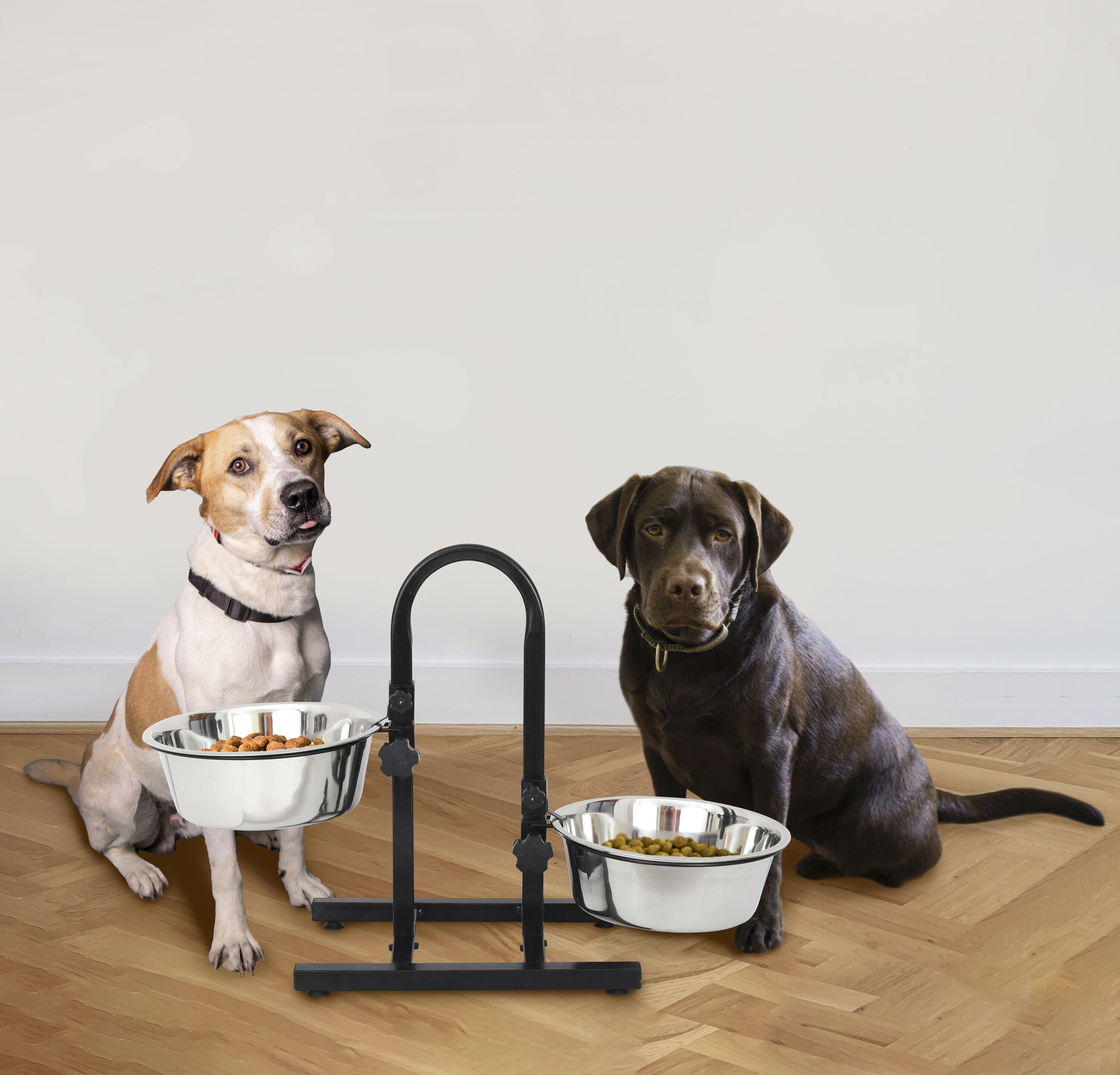 Iconic Pet 92182 Pet-Feeder - View #5