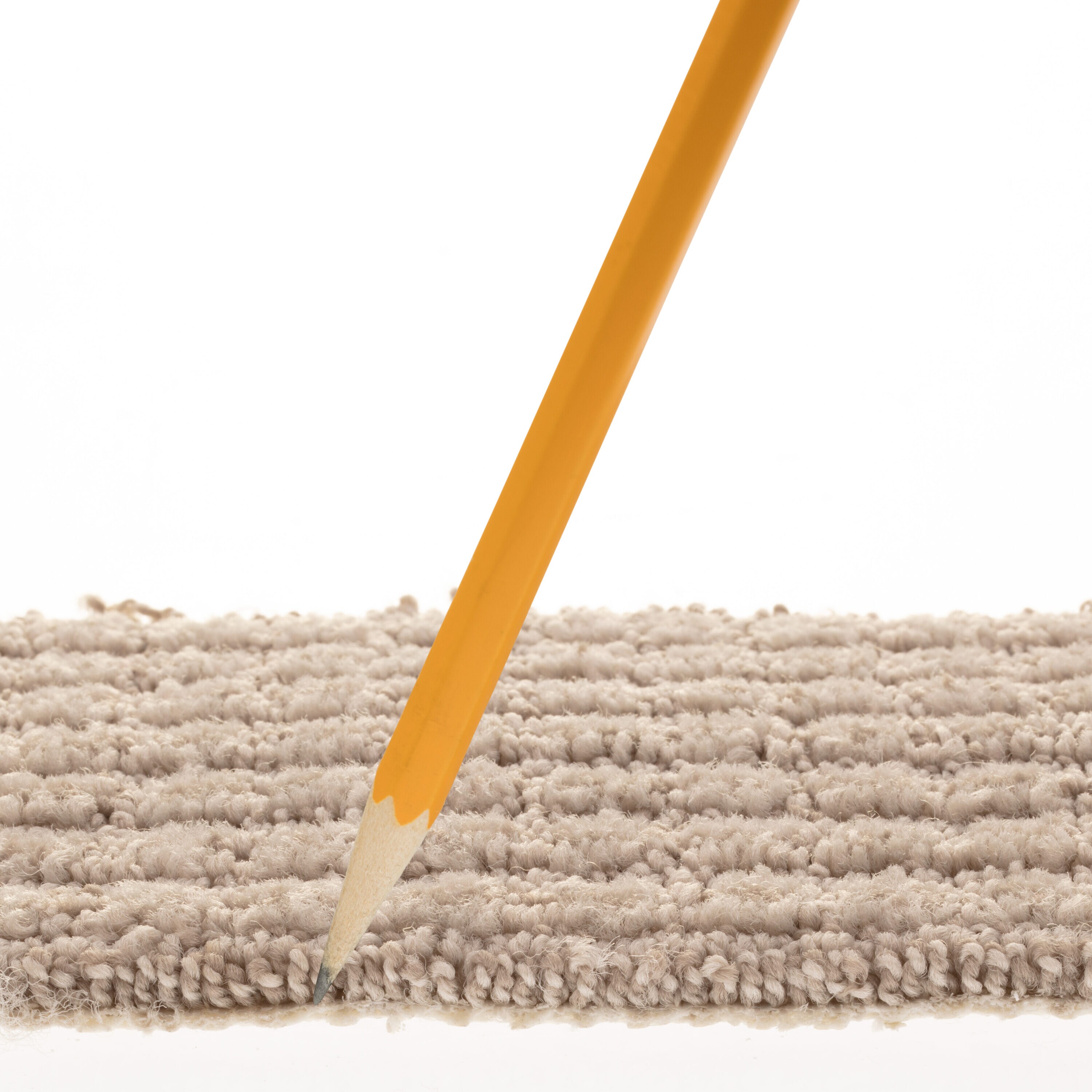 STAINMASTER PetProtect 7L885 - 106 - SAMP Carpet-Samples - View #7