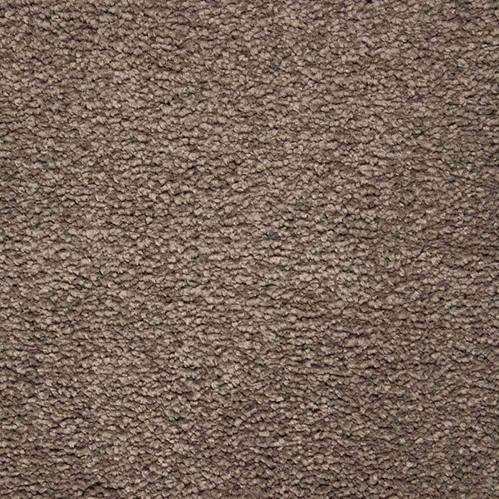 STAINMASTER PetProtect STP54-L020-0808 (Sample) Beau Dacious Nocturne Brown 48-oz sq yard Triexta Textured Indoor Carpet