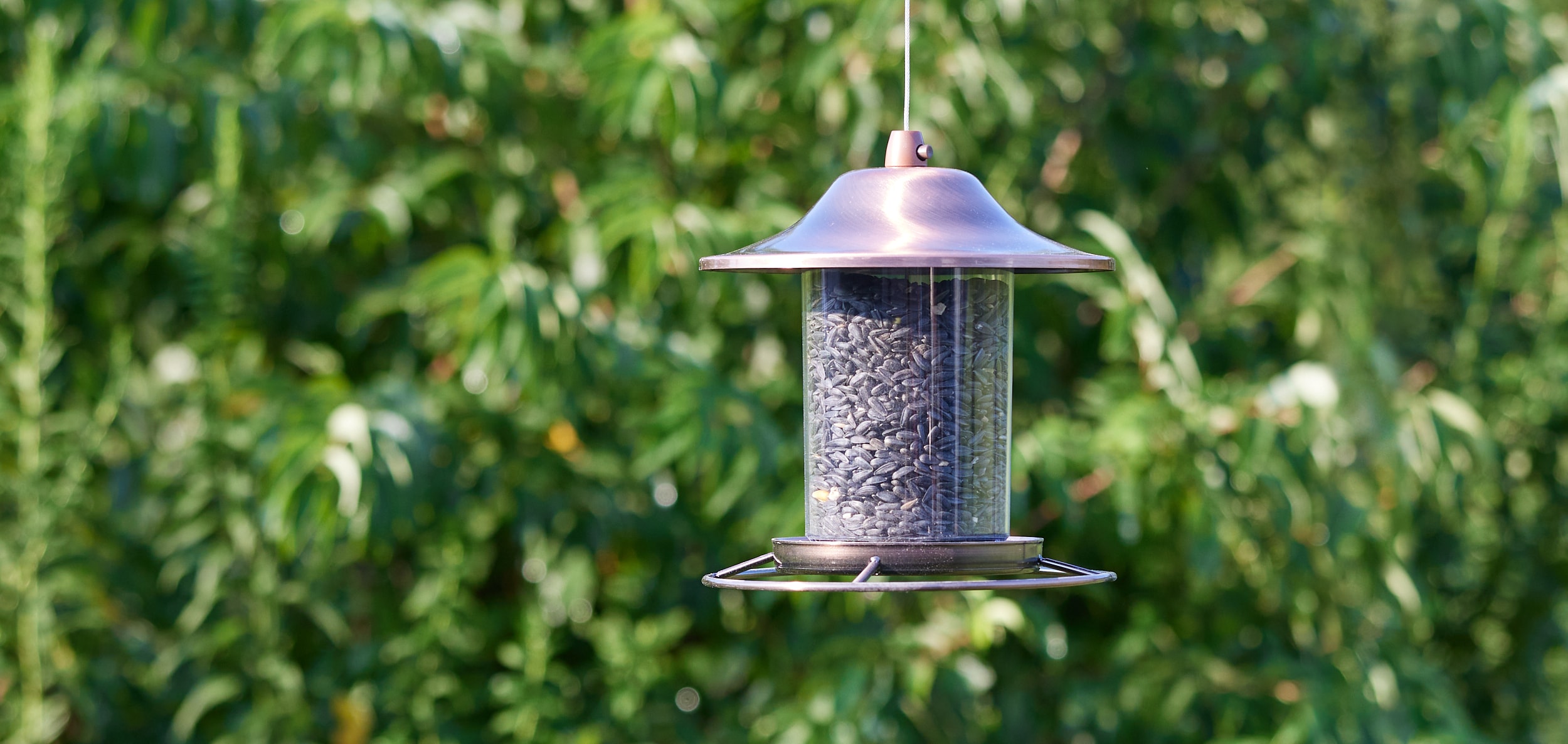 National Audubon Society 009458 Bird-Squirrel-Food - View #4