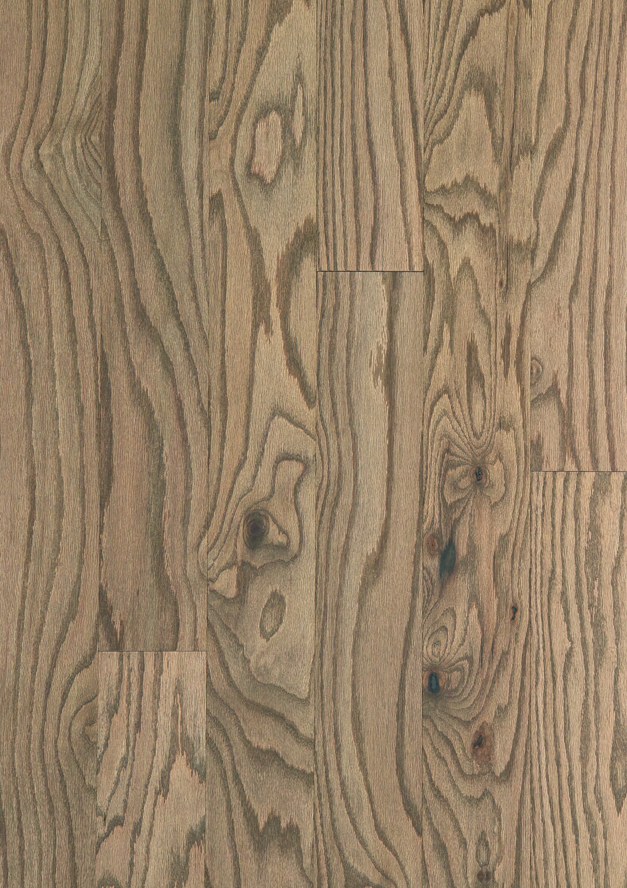 Shaw LX76702028 Wood-Floors - View #4