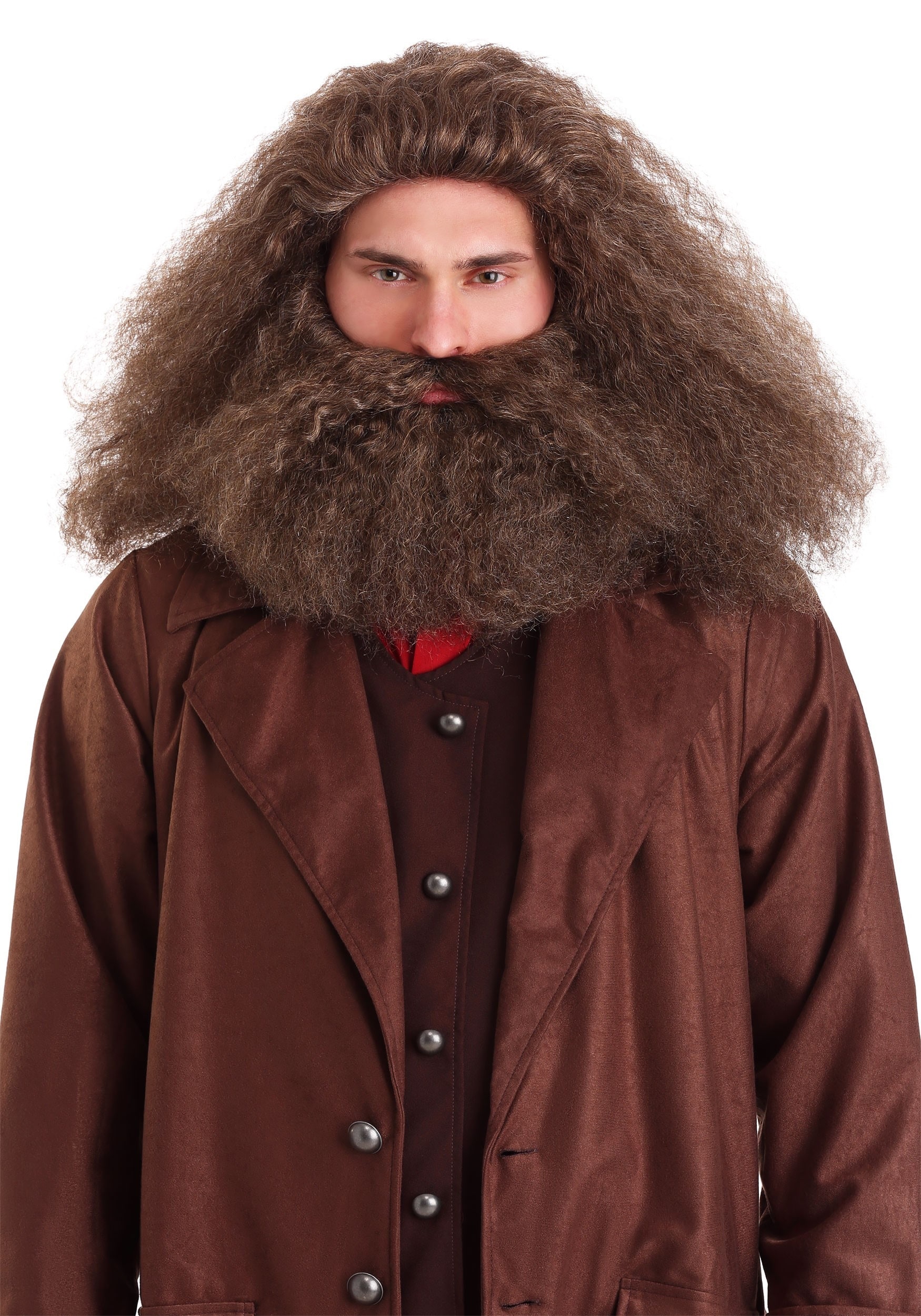 HalloweenCostumes.com FUN0662AD-ST FUN Costumes GameKeeper Wizard Adult Beard and Wig Standard