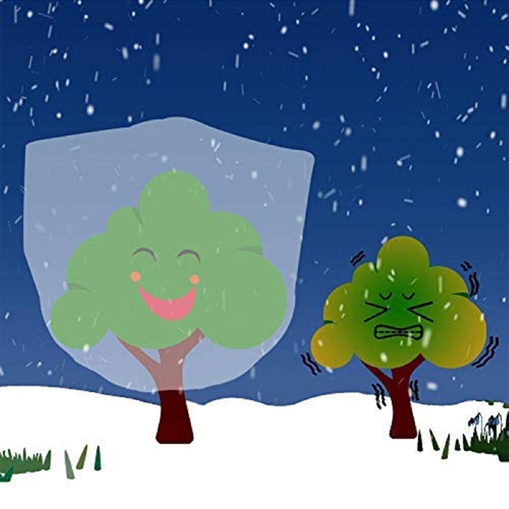 Agfabric RPCD8FT2PG Winter-Plant-Protect - View #3