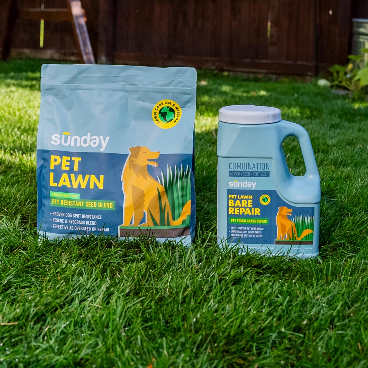 Sunday FB4161 Grass-Seed - View #2