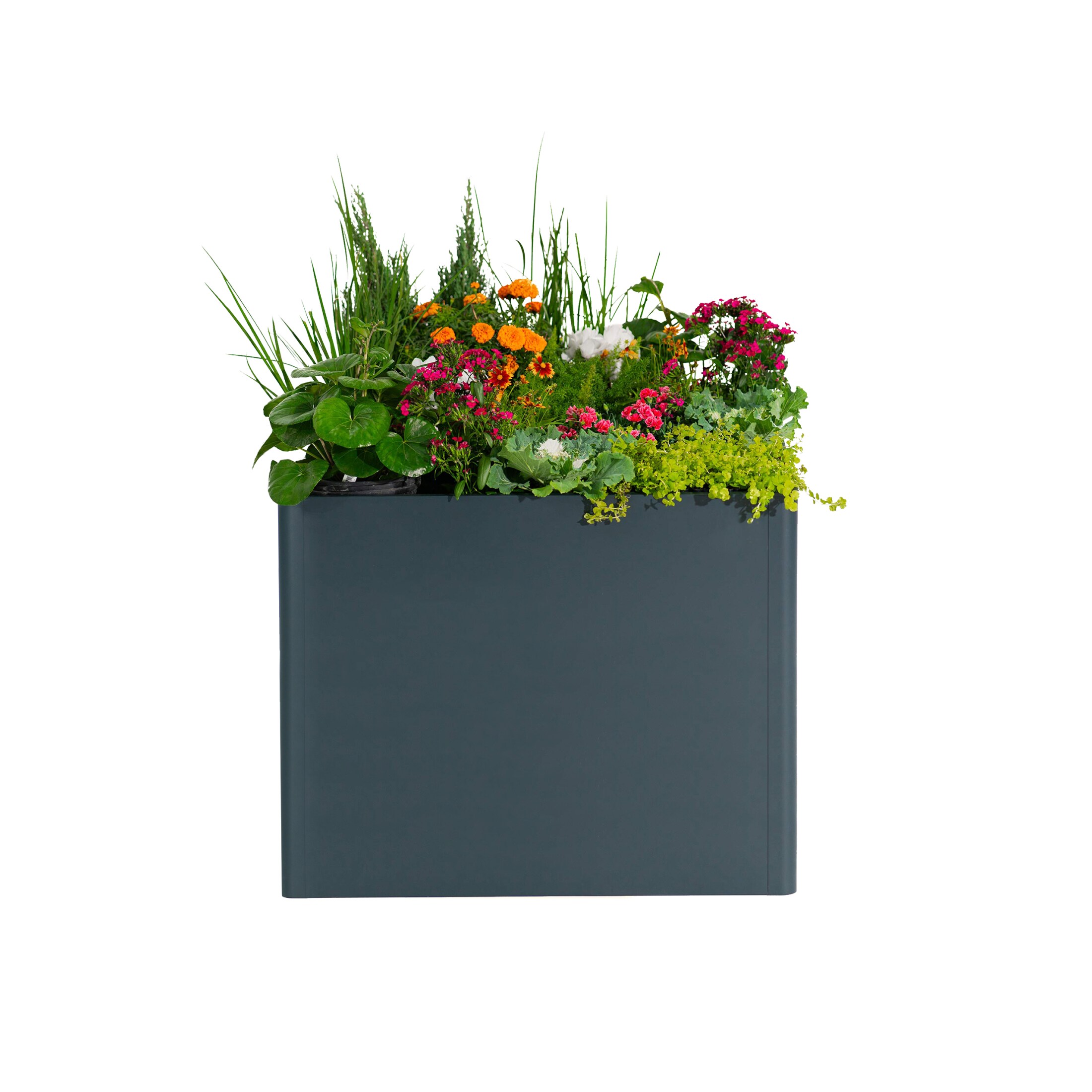 Vego Garden VBMT4283BL Raised-Garden-Beds - View #7