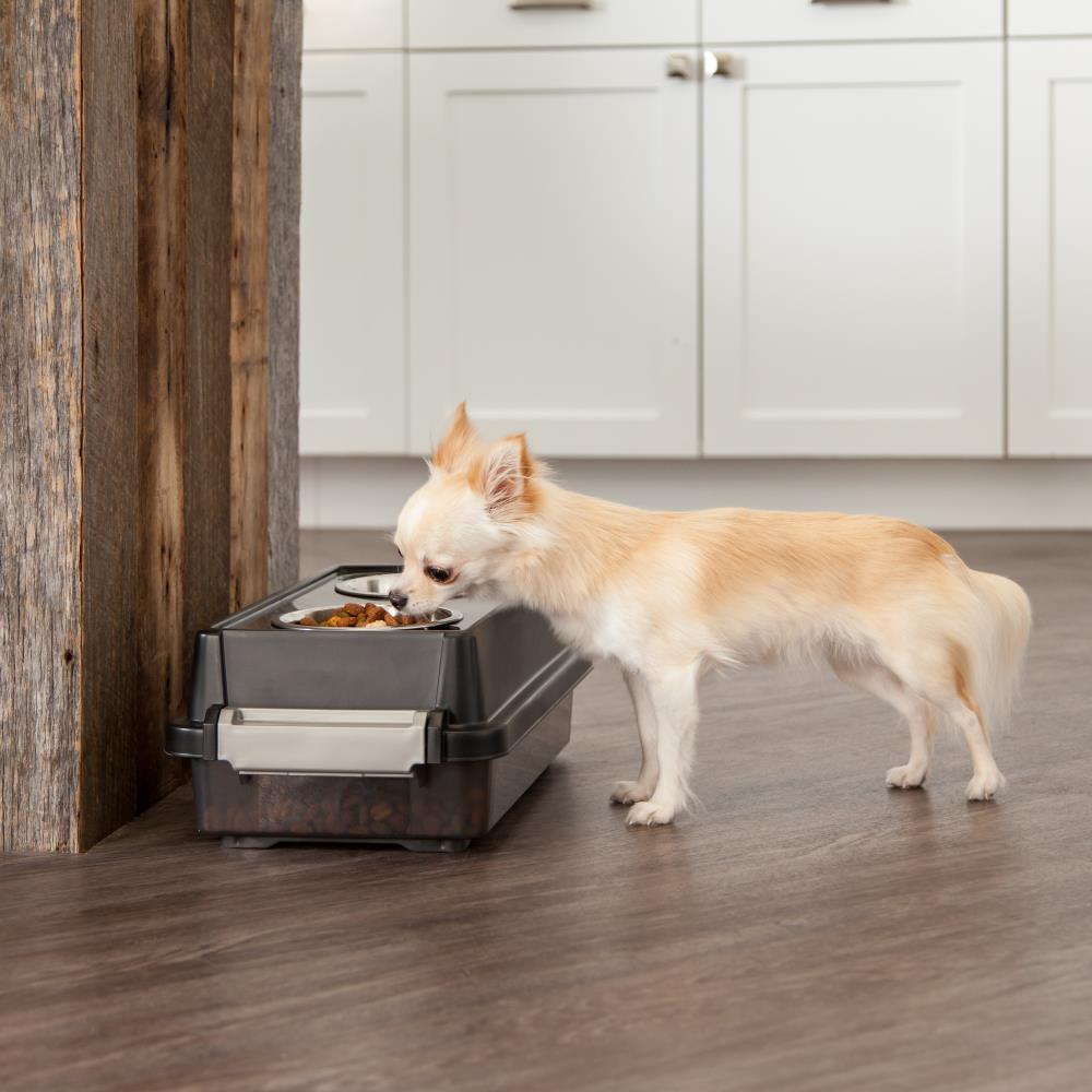 IRIS 300302 Pet-Feeder - View #3
