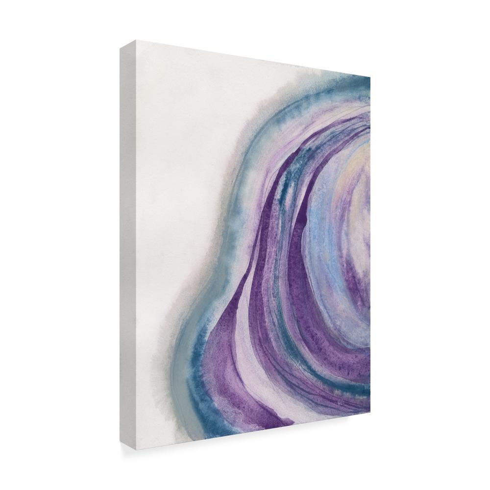Trademark Fine Art Framed 32-in H x 24-in W Abstract Print on Canvas in ...
