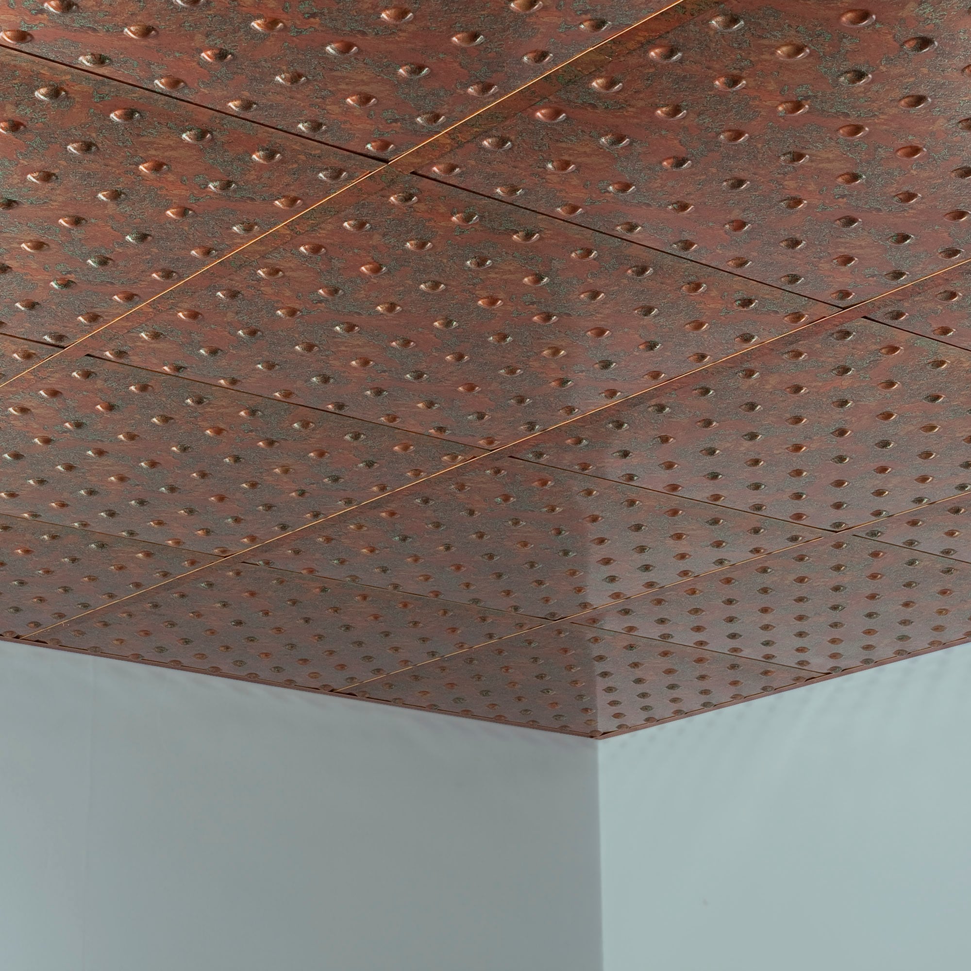 Fasade PL6311 Ceiling-Tile - View #4