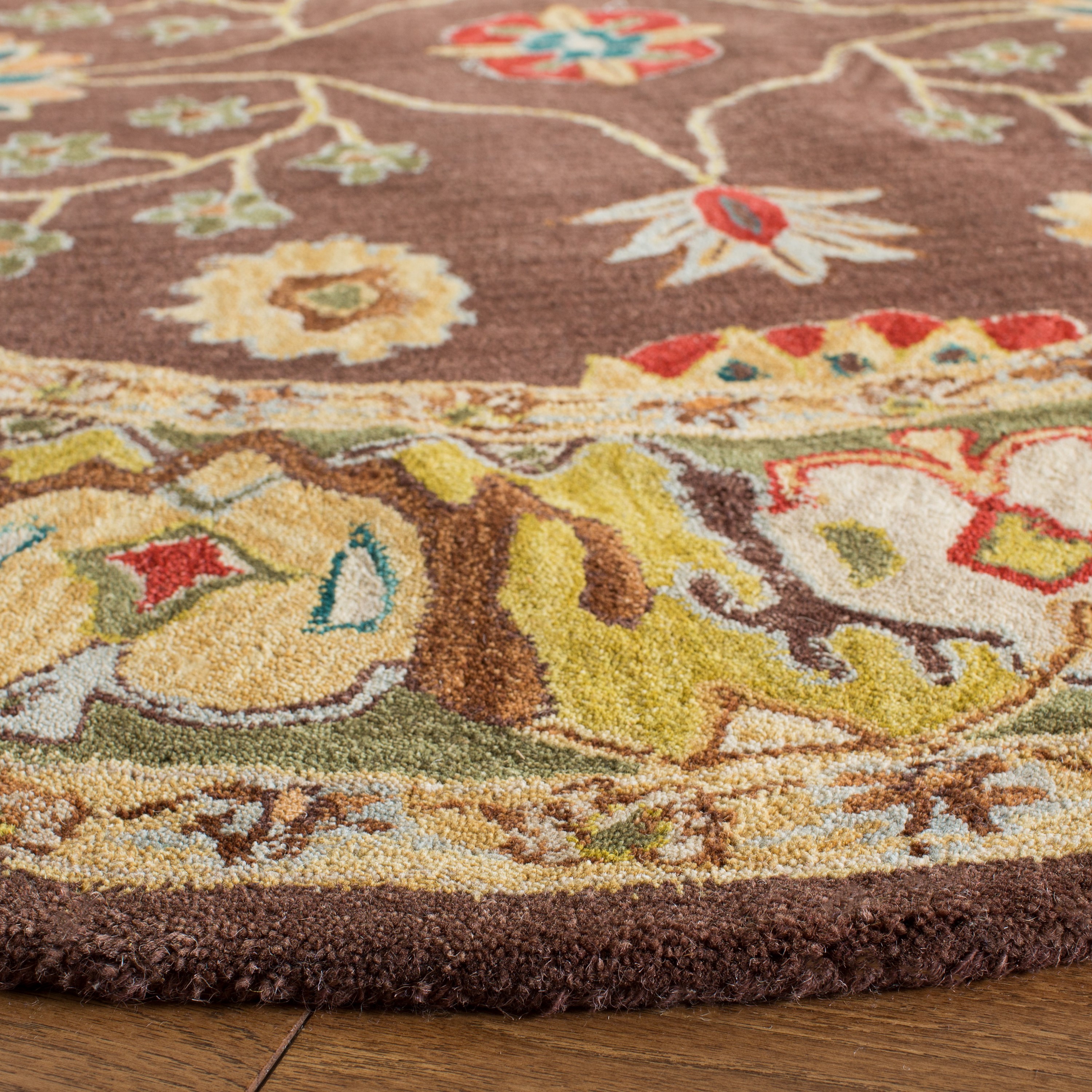 Safavieh AN562A-6R rugs - View #3