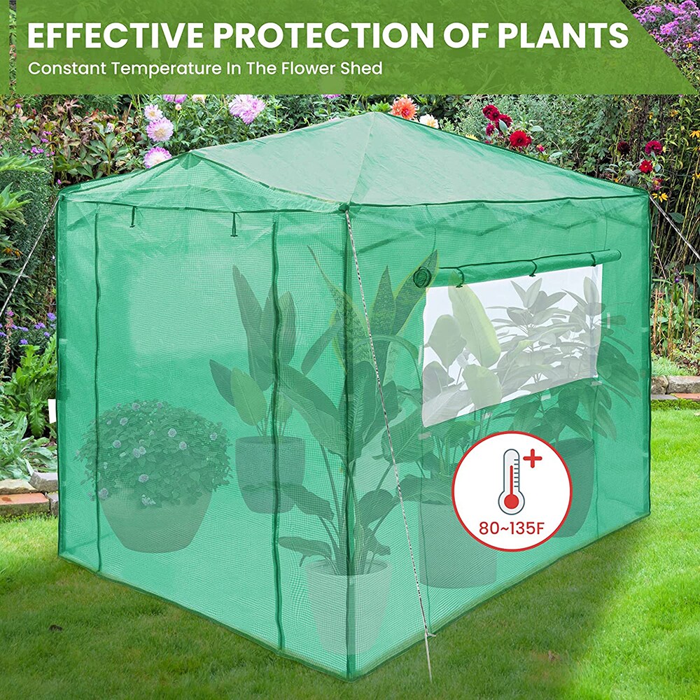 EAGLE PEAK 8x6 Portable Walk-in Mesh Cover Greenhouse Instant Pop-up I