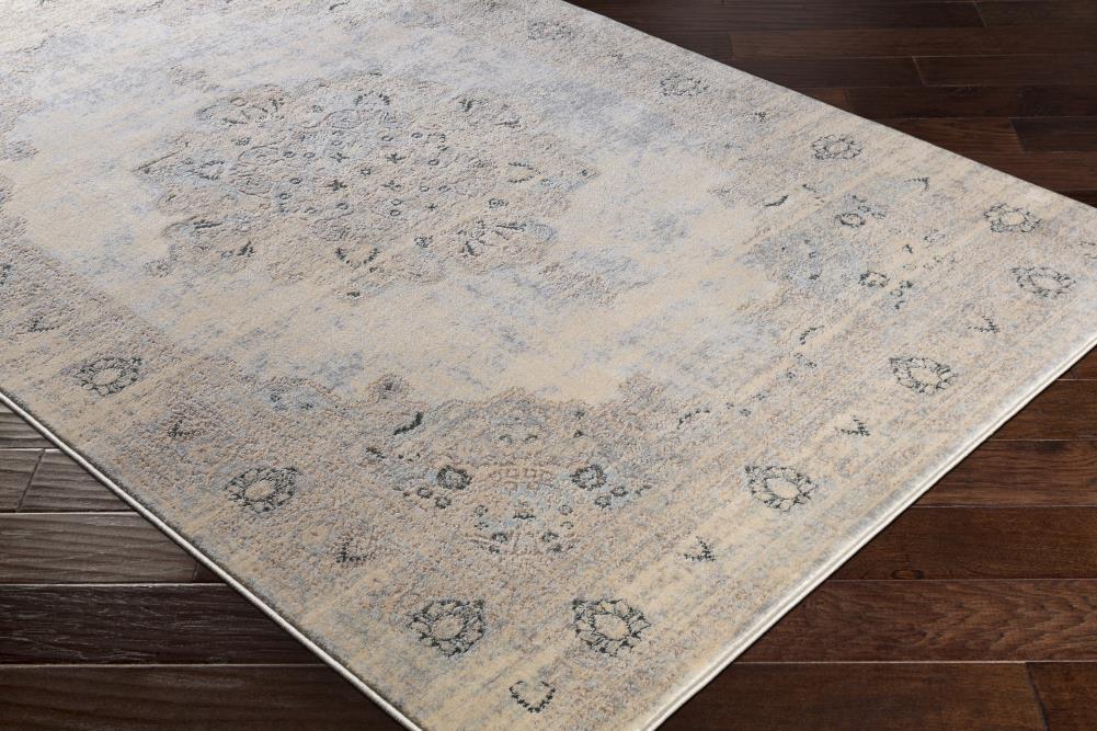 Surya Asia Minor 5 x 8 Cream Medallion Oriental Area Rug at Lowes.com