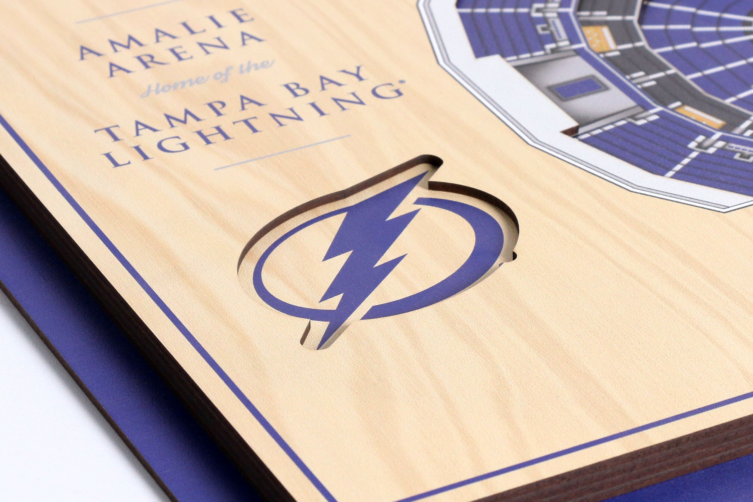 Tampa Bay Lightning Amalie Arena Team Colors Seating Chart - Vintage H