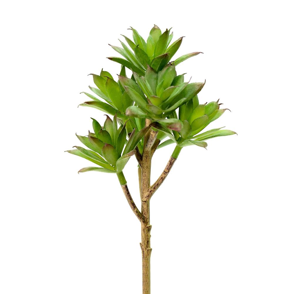 Vickerman FO181201 8-in Green Indoor Succulent Artificial Plant
