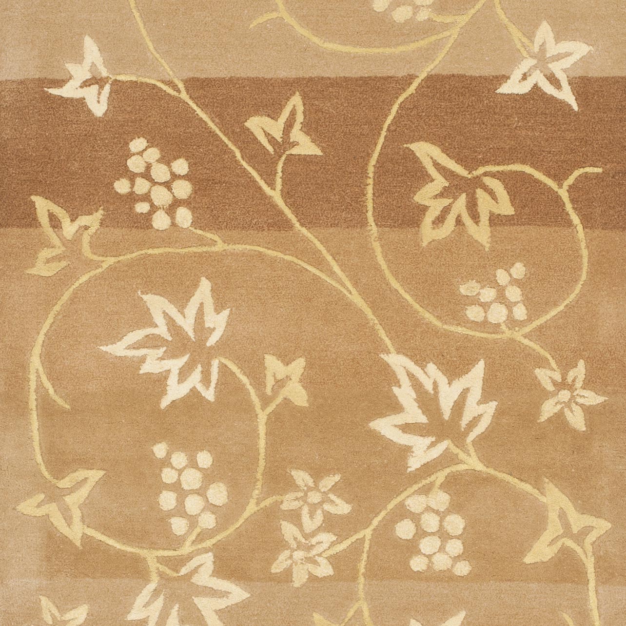 Safavieh FT231A-28 rugs - View #3