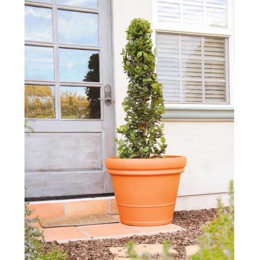 Pennington 100043002 Planter-Window-Box - View #3