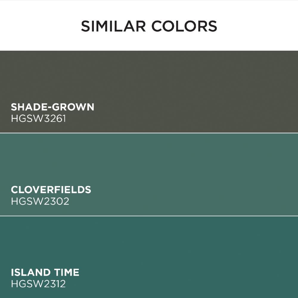 HGTV HOME by Sherwin-Williams 5010-4-2557206 Int-Ext-Paint - View #6