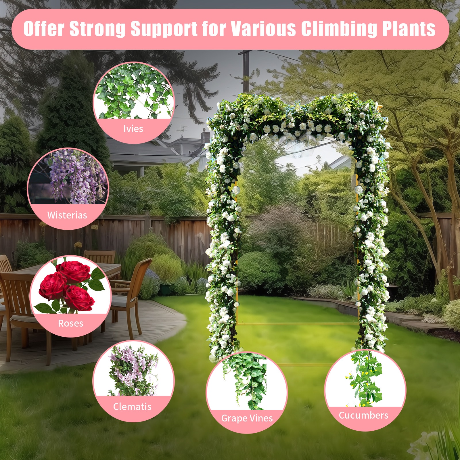 CNCEST OT-ZJGJ-5169 Garden-Arbor - View #6