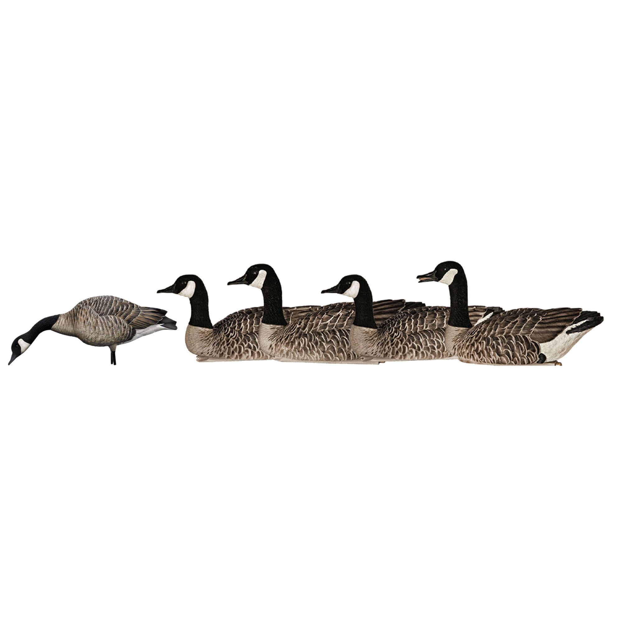 Avian X 408593 28.5 x 18 x 16.5 Inche(s) Decoy 4 -Pack