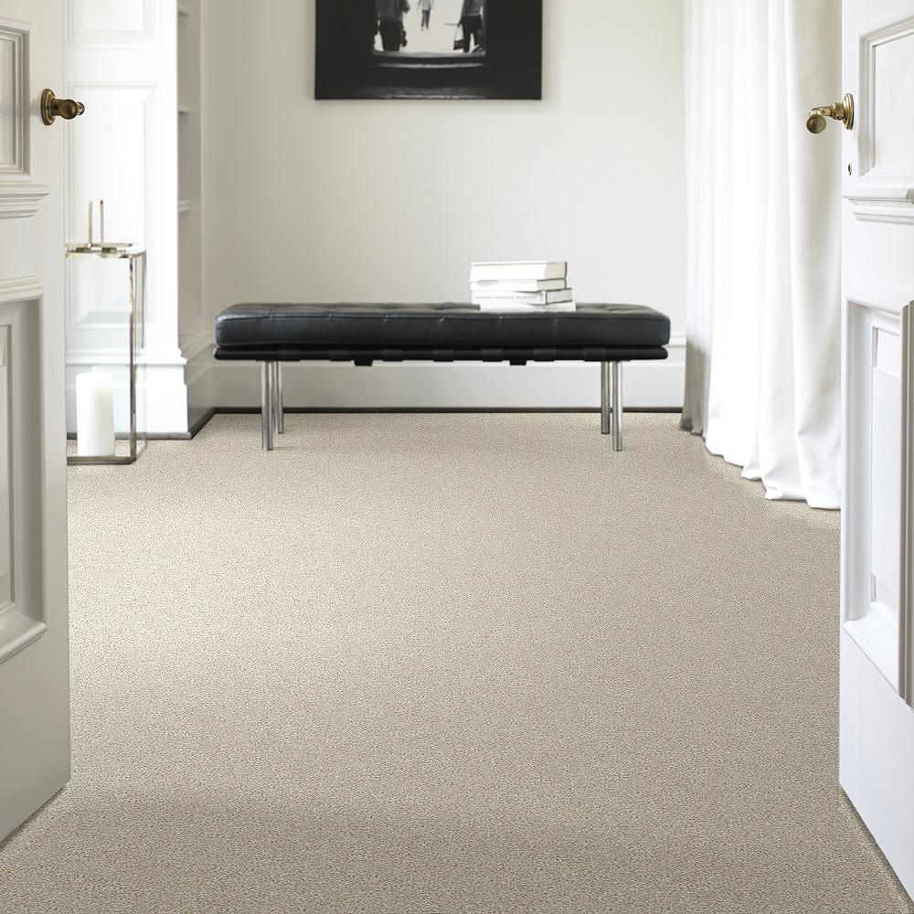 STAINMASTER 7L71900114 Carpet-Panel - View #2