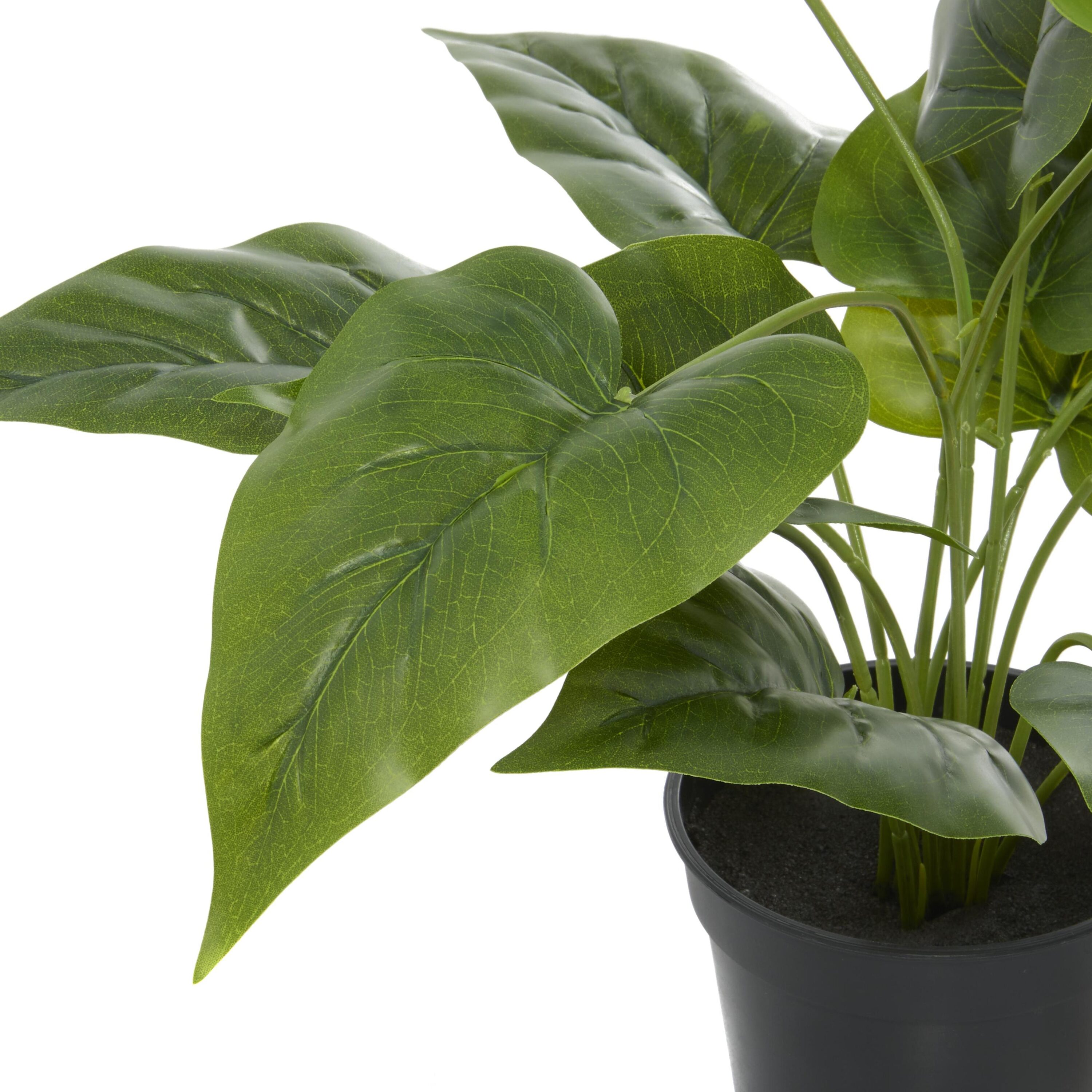 Grayson Lane 88292 Artificial-Plants-Trees - View #4