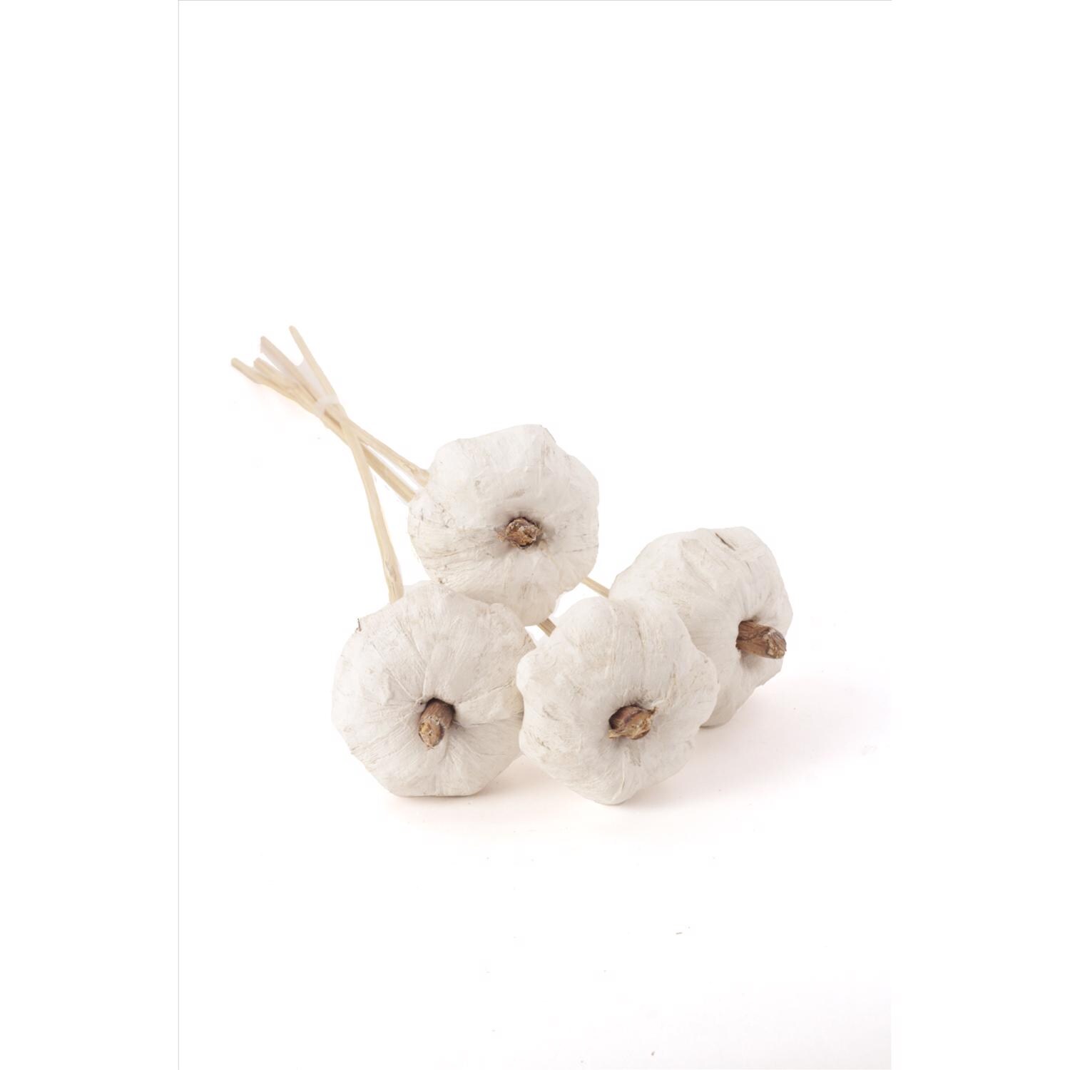 Second Nature EJD9096224--24-1 Outdoor-Halloween-Decor - View #2