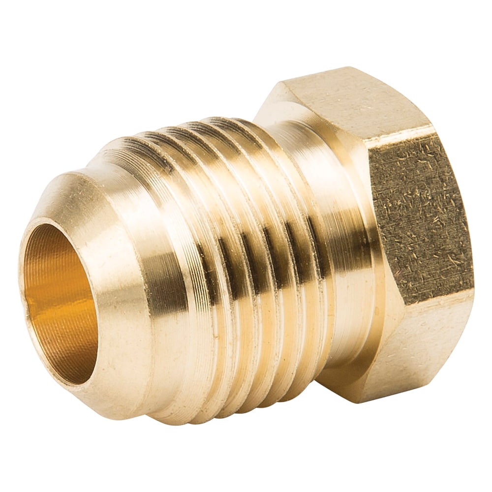 Proline Series 1/2-in Threaded Cap Plug Fitting at Lowes.com