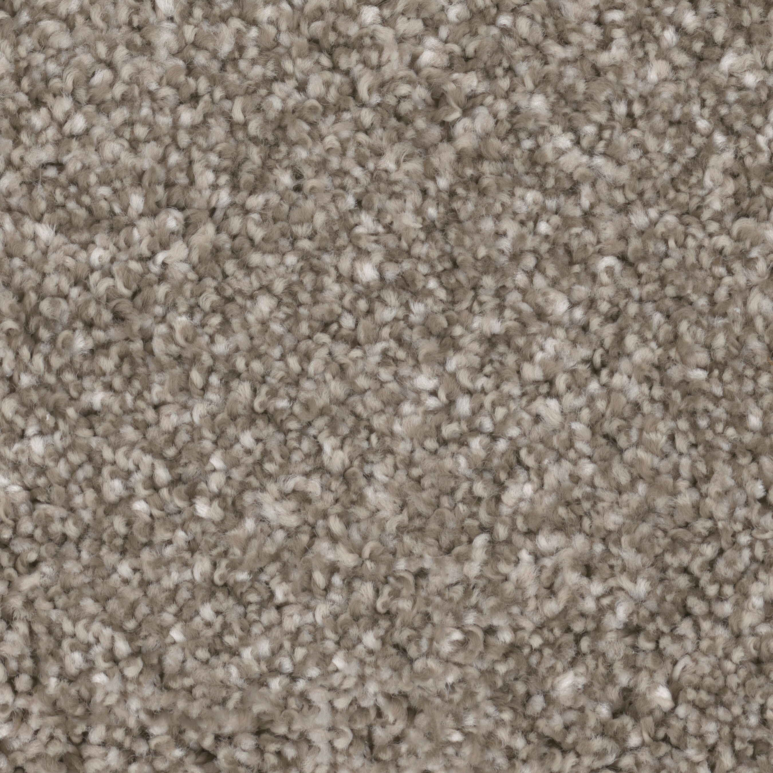 STAINMASTER Essentials Stunning Showpiece Textured Indoor Carpet in the ...