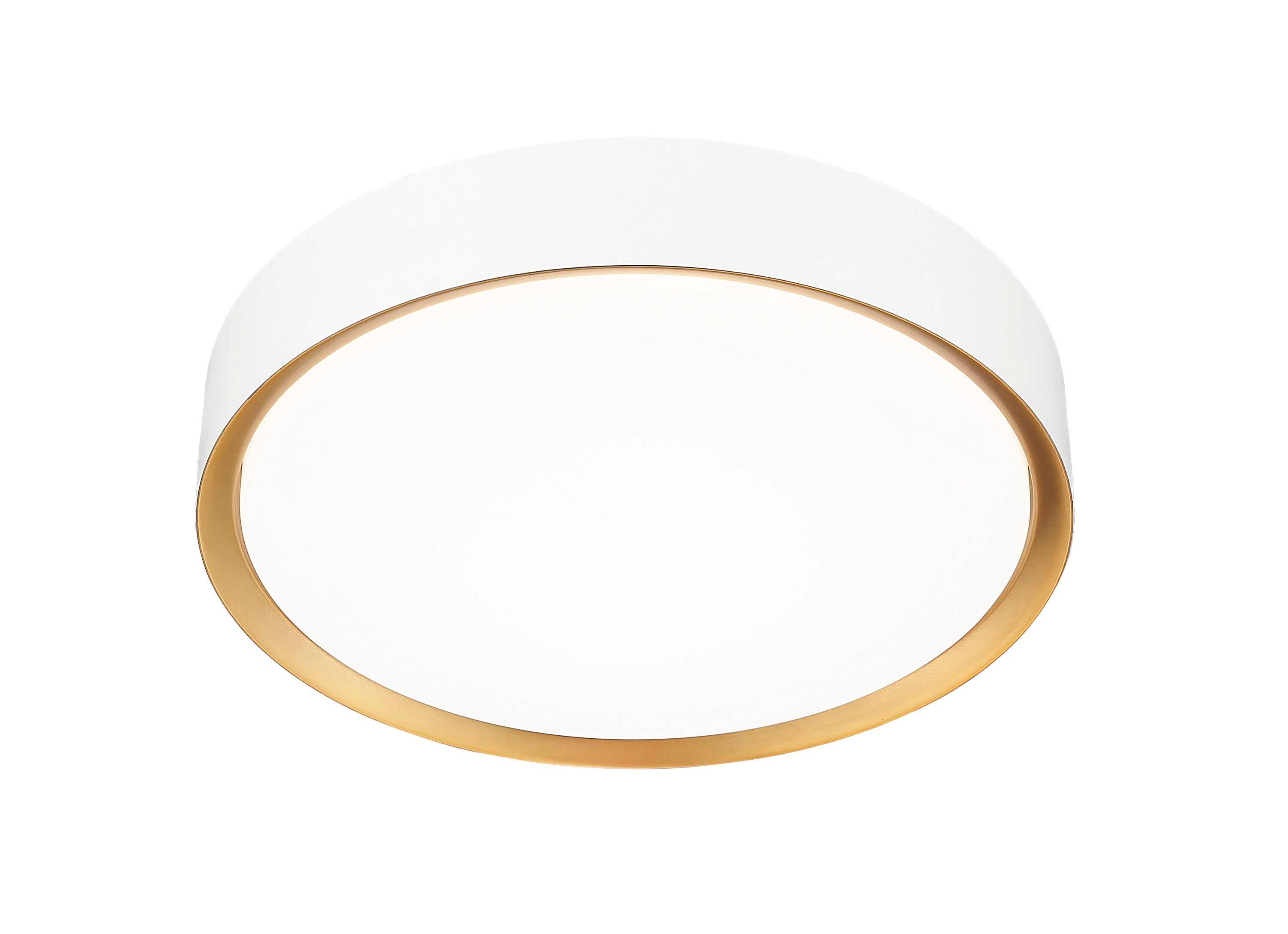 Z-Lite 1014F16-MW-MGLD-LED flushmounts - View #5