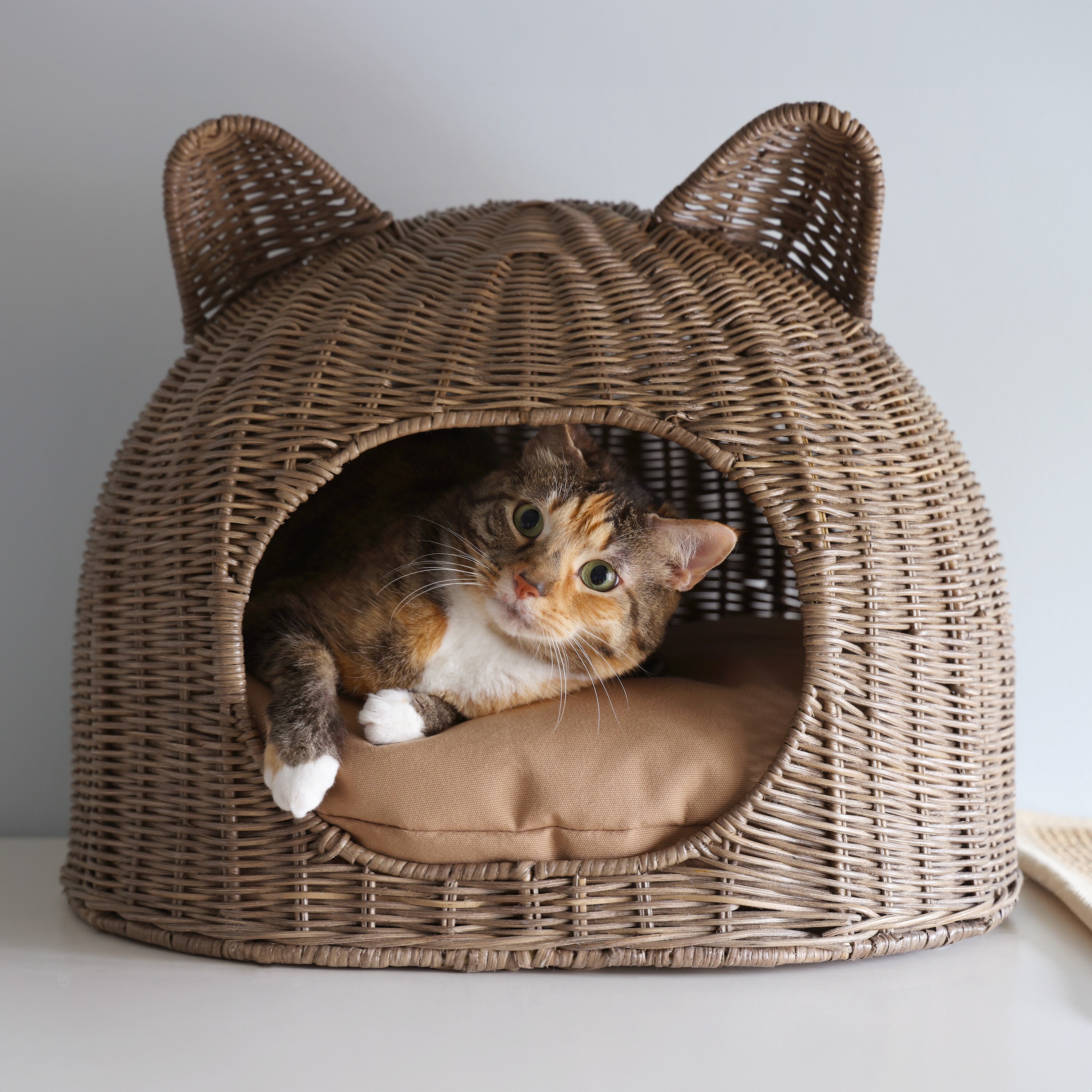 The Licker Store CBD1000A Pet-Beds - View #6