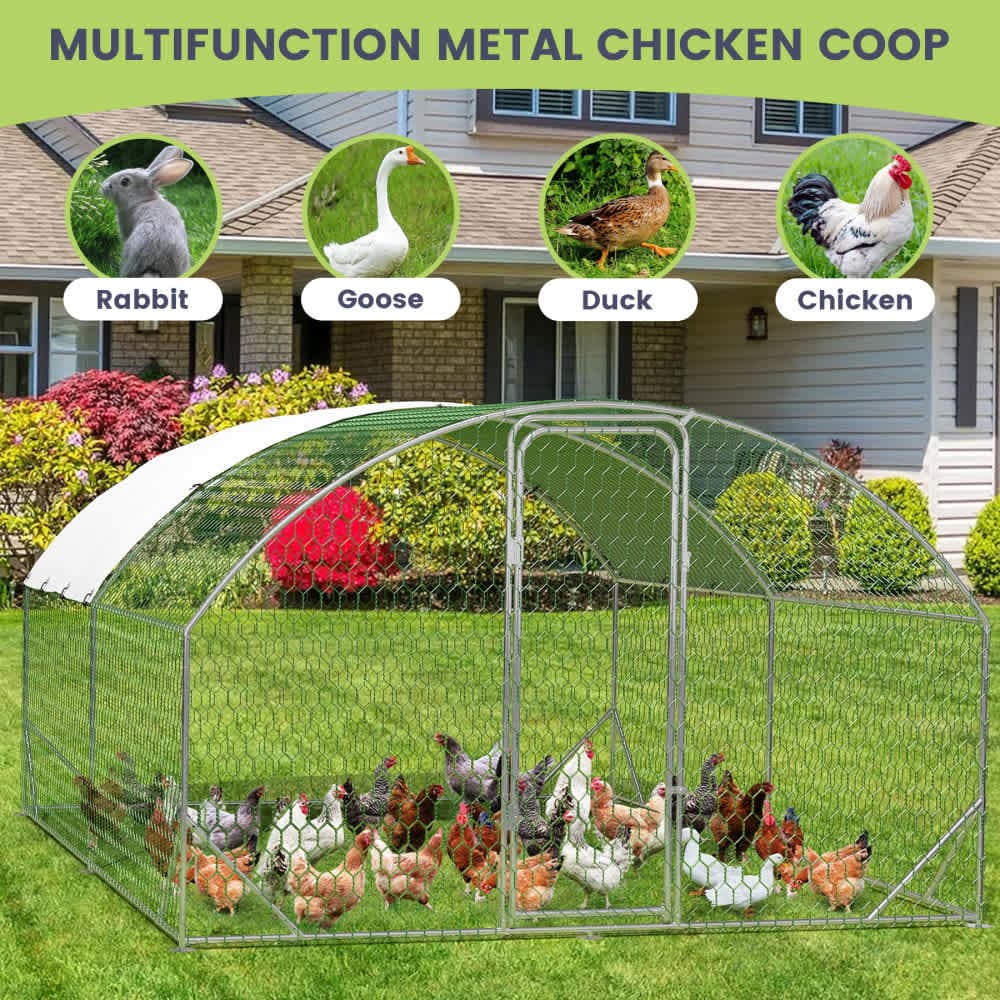 Qeetex WLS-PHO-159PP50I Chicken-Coops-Rabbit-Hutches - View #9