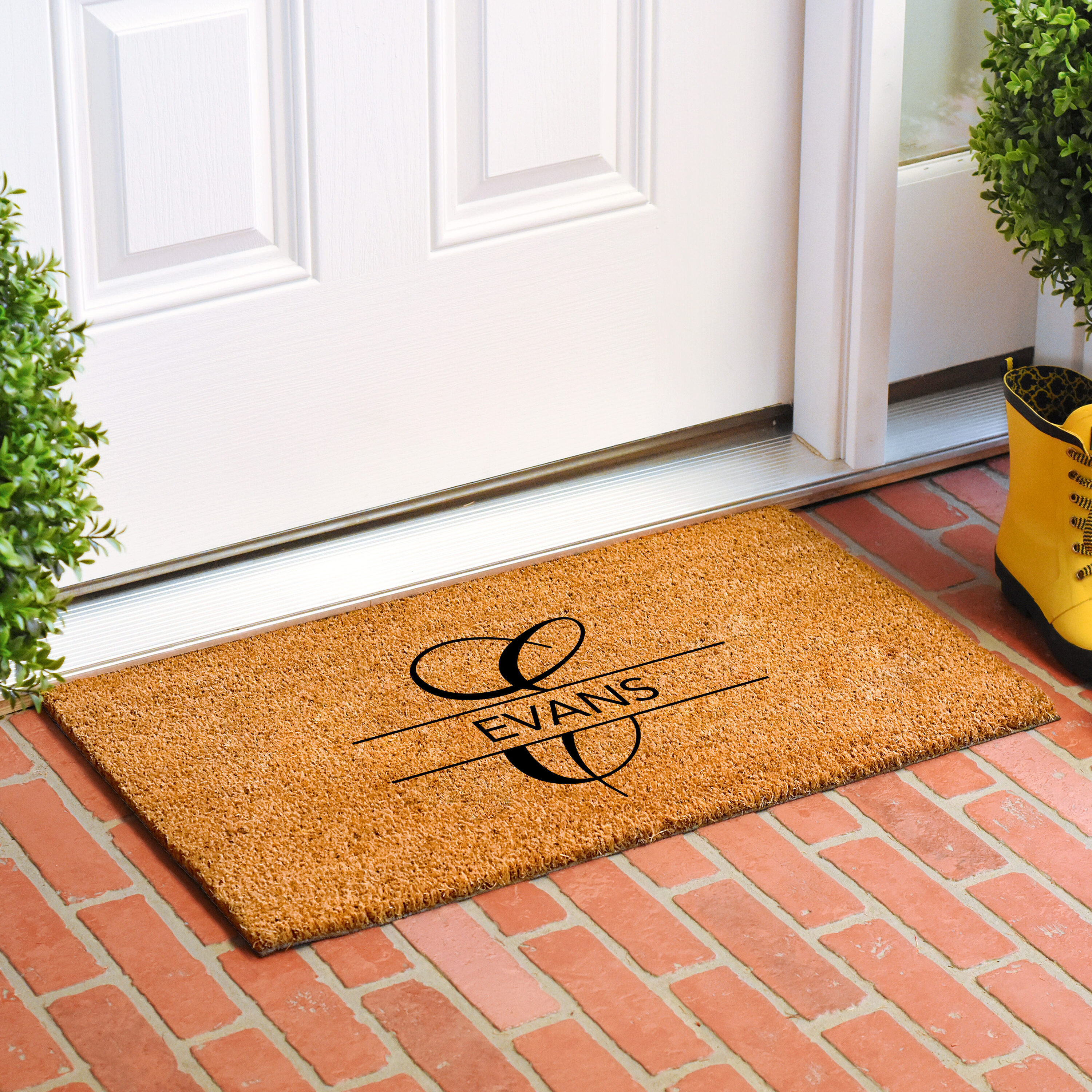 Callowaymills 111162436 Mats-Cat - View #2