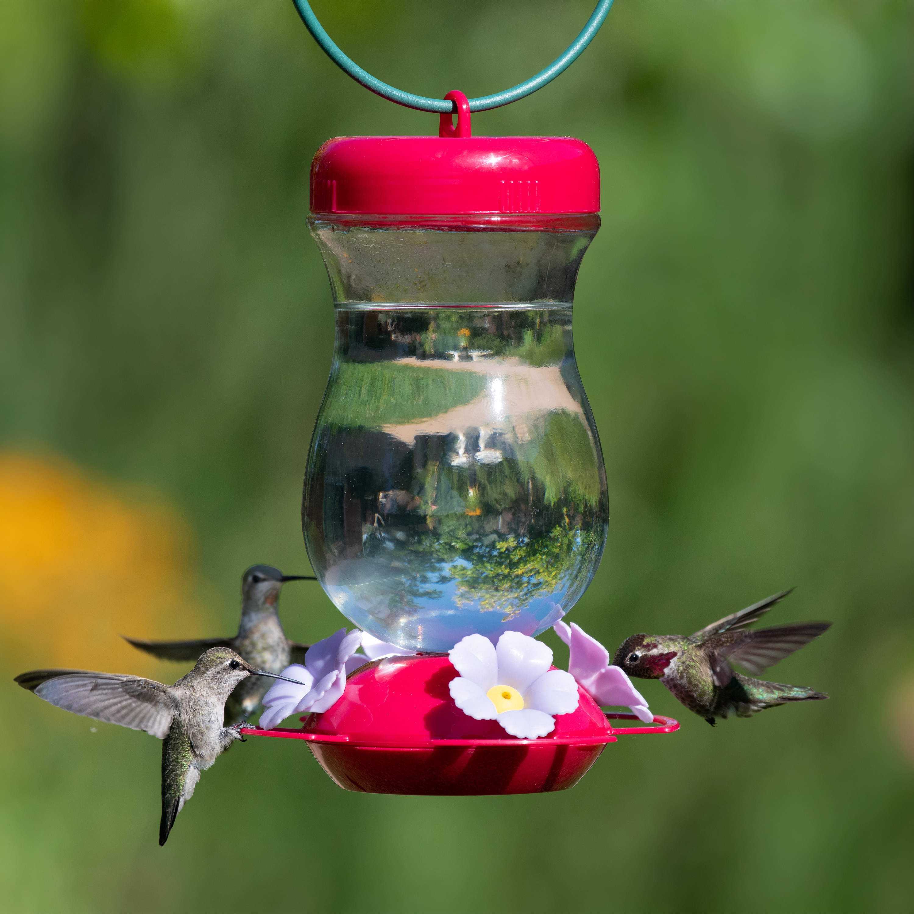 Perky-Pet 132TFP Bird-Feeders - View #11