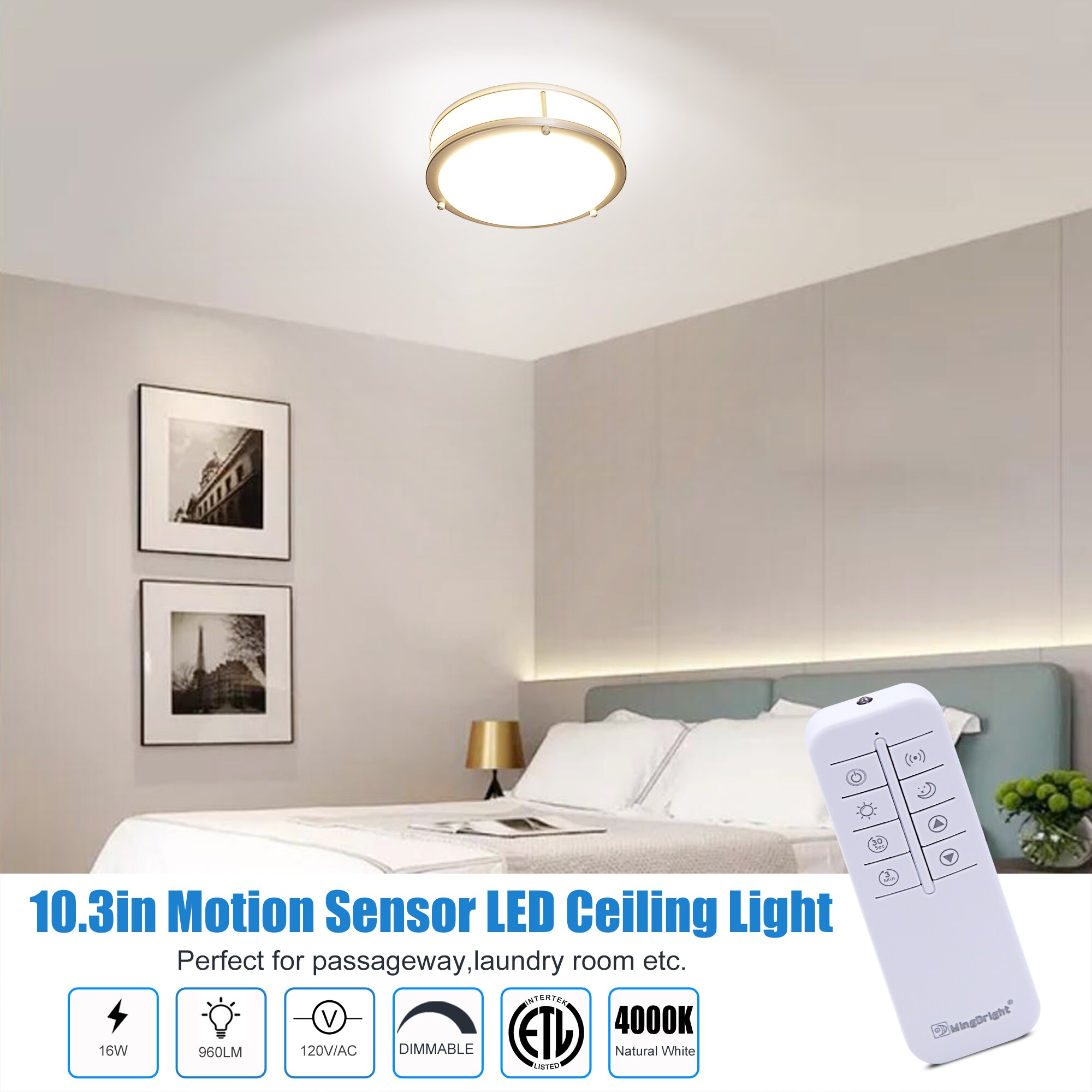 Dimmable LED Flush Mount Ceiling Light Fixture with Remote Control