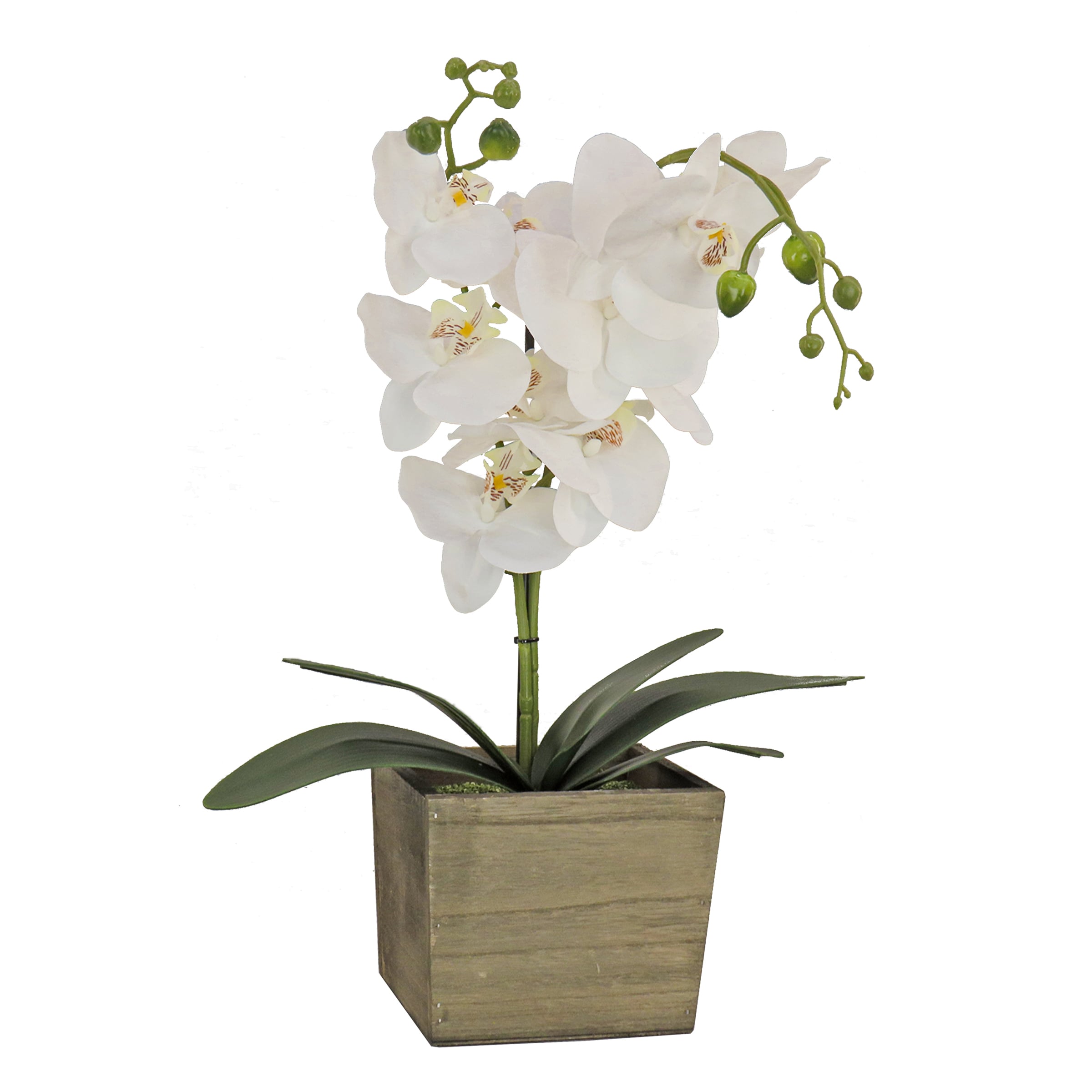 National Tree Company MT81-PH0354PWH 21-in H Any occasion Tabletop decoration Decorative box